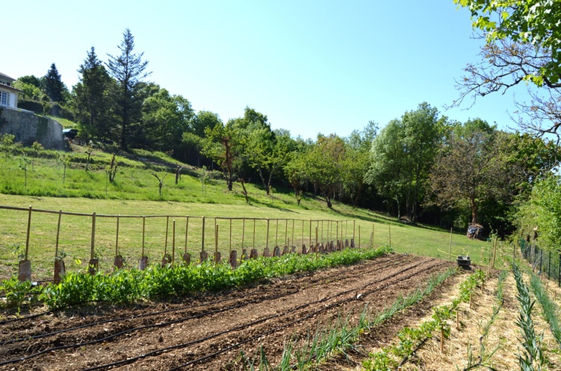 Hus i Ruffec, Poitou-Charentes 10103211