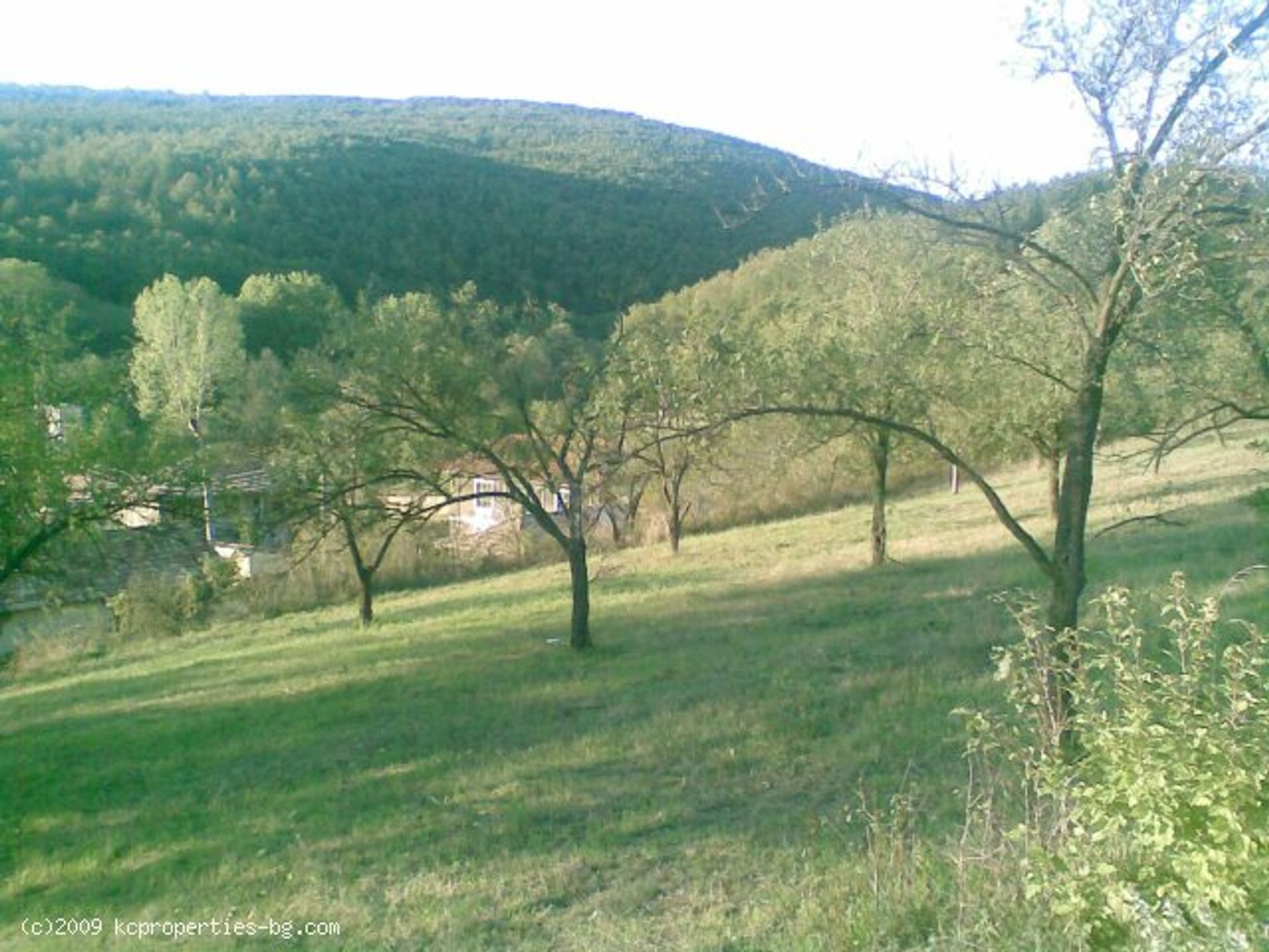 Land in Smyadovo, Shumen 10104864