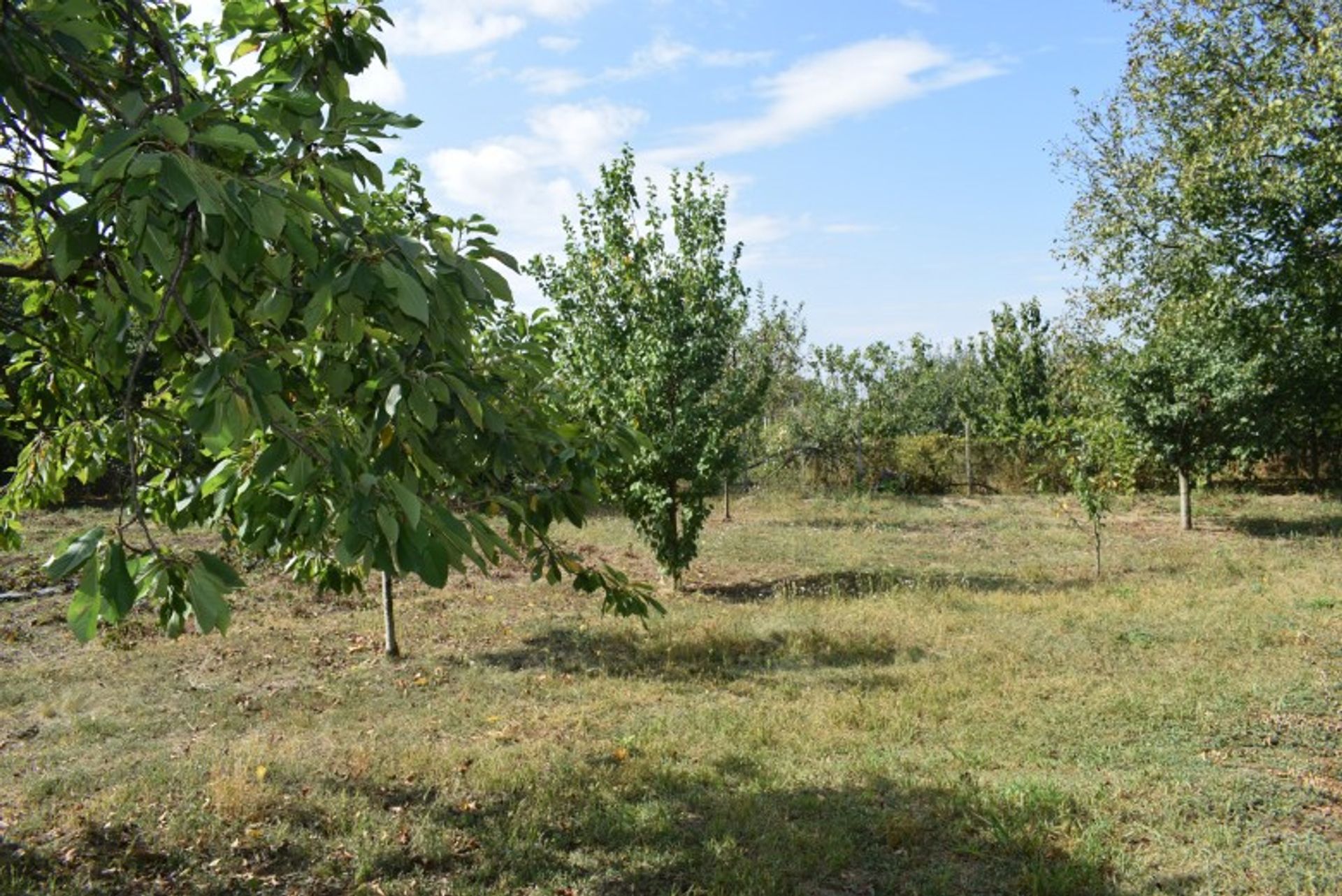 Hus i Dobrich, Dobrich 10105000