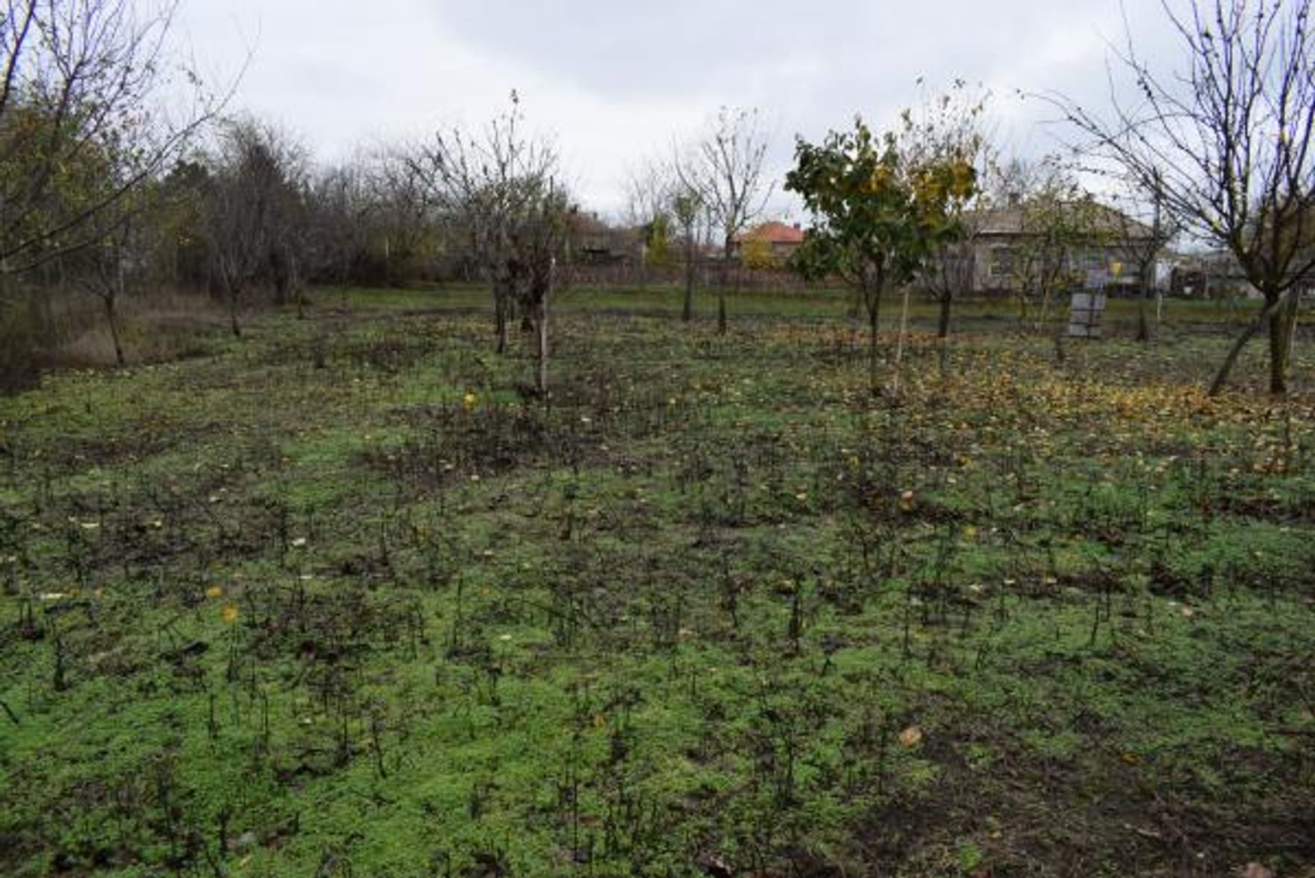 жилой дом в Balchik, Dobrich 10105144