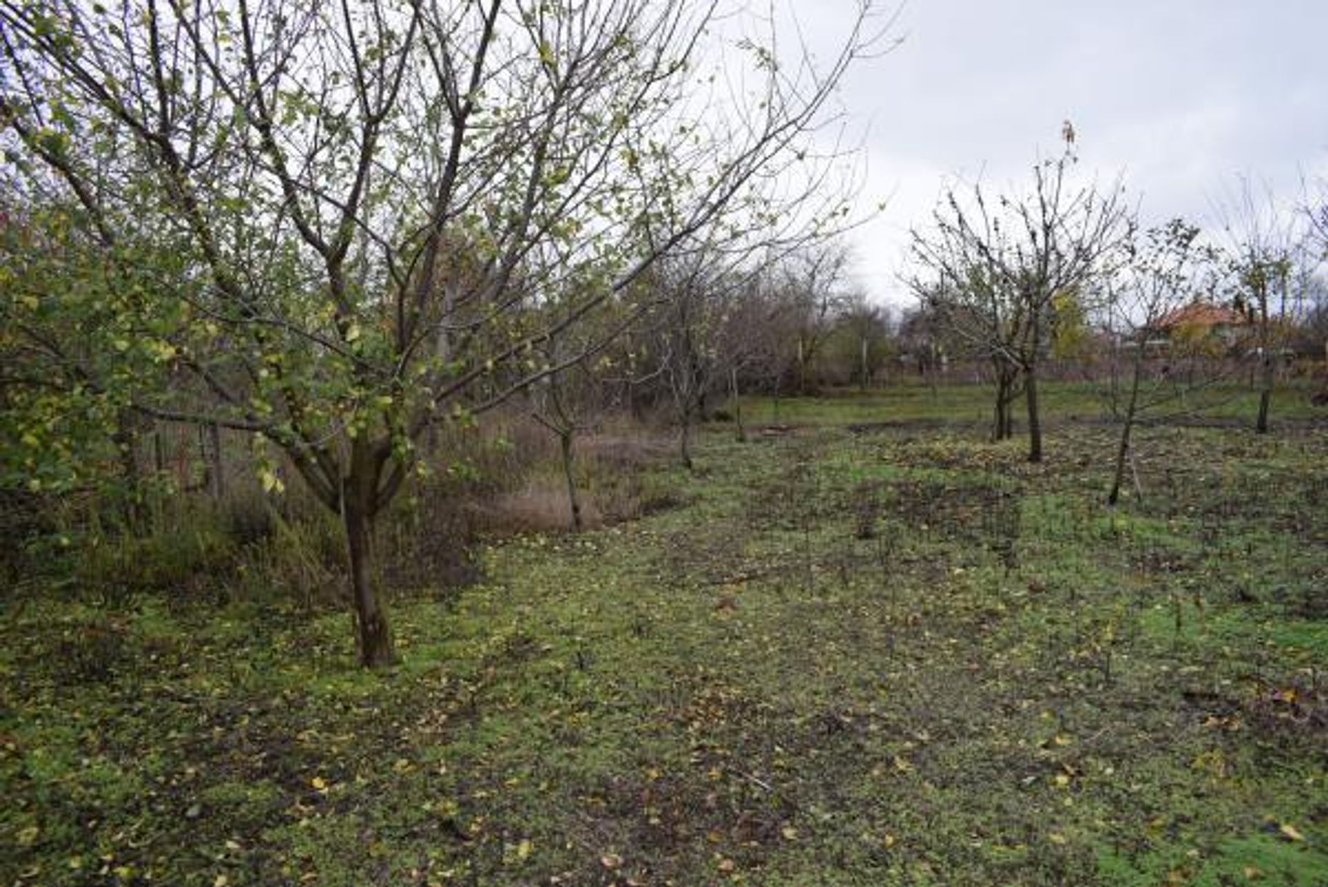 жилой дом в Balchik, Dobrich 10105144