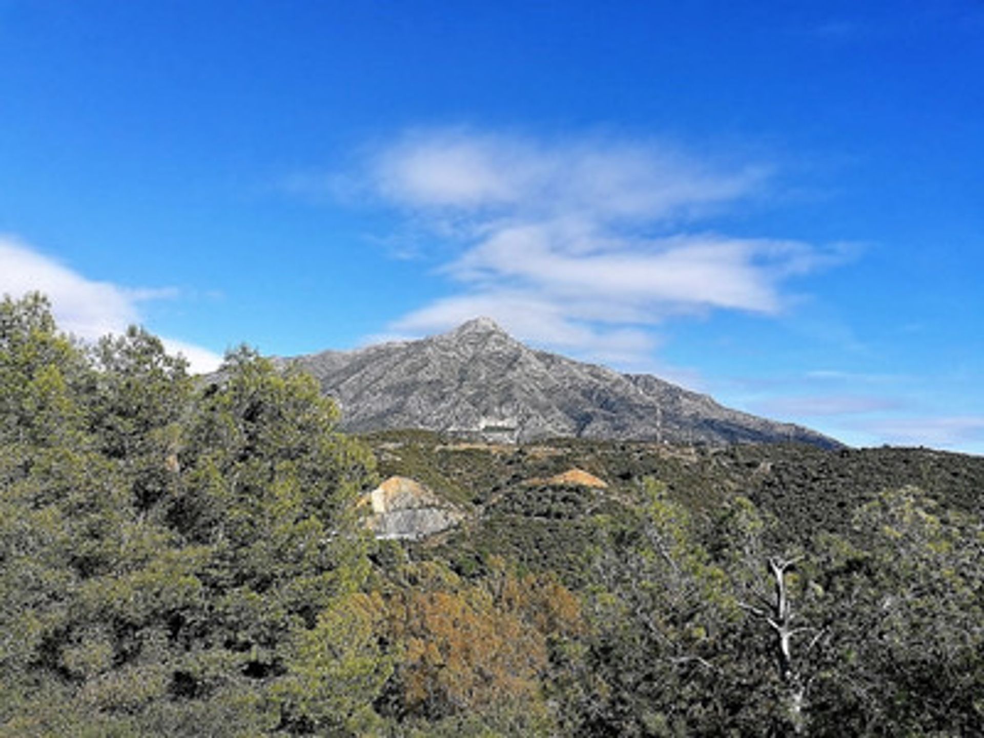 casa en El Ángel, Andalucía 10105148