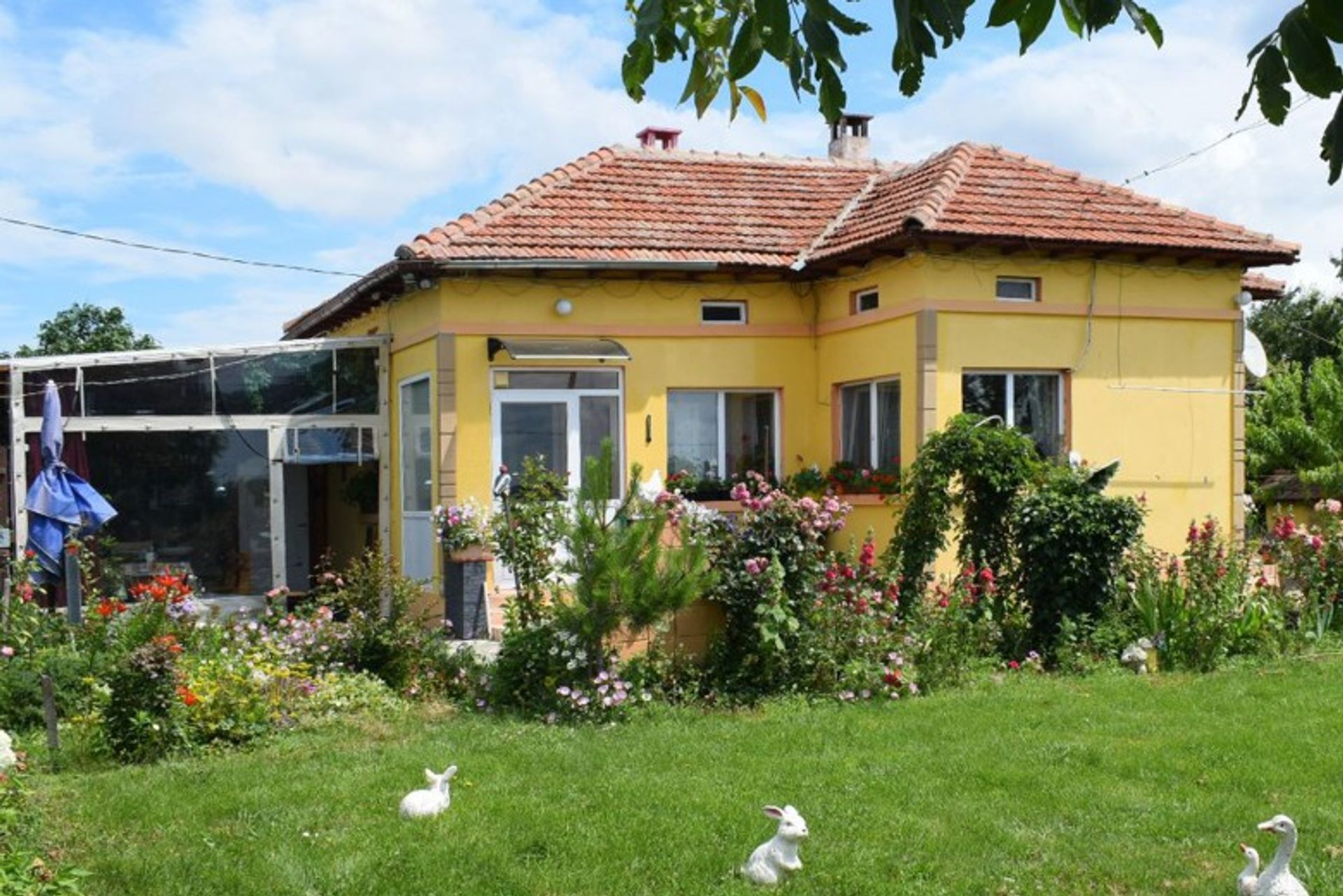 Hus i Dobrich, Dobrich 10105159