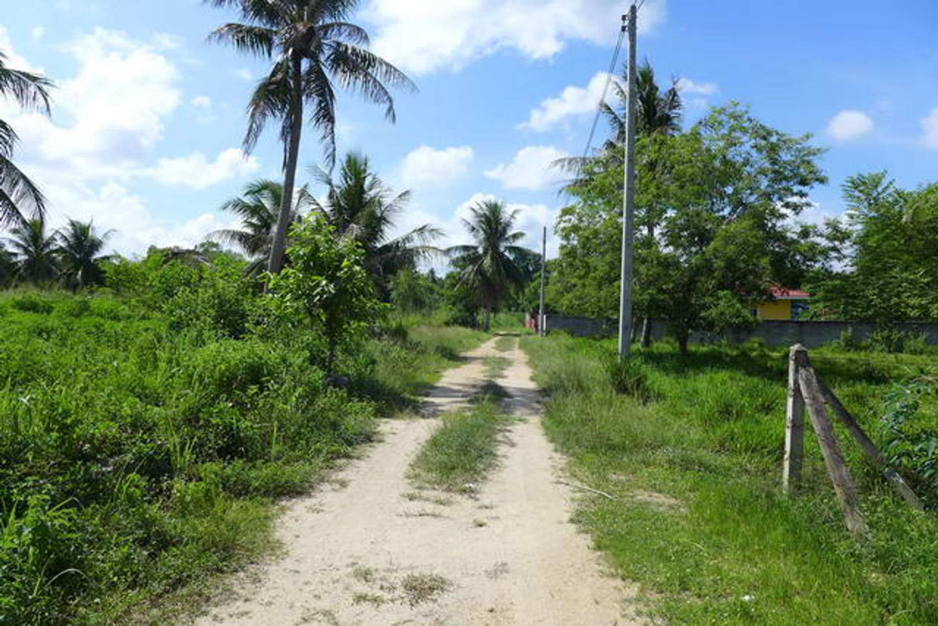 Tierra en Ban Nong Namtao Loi, Chonburi 10105285