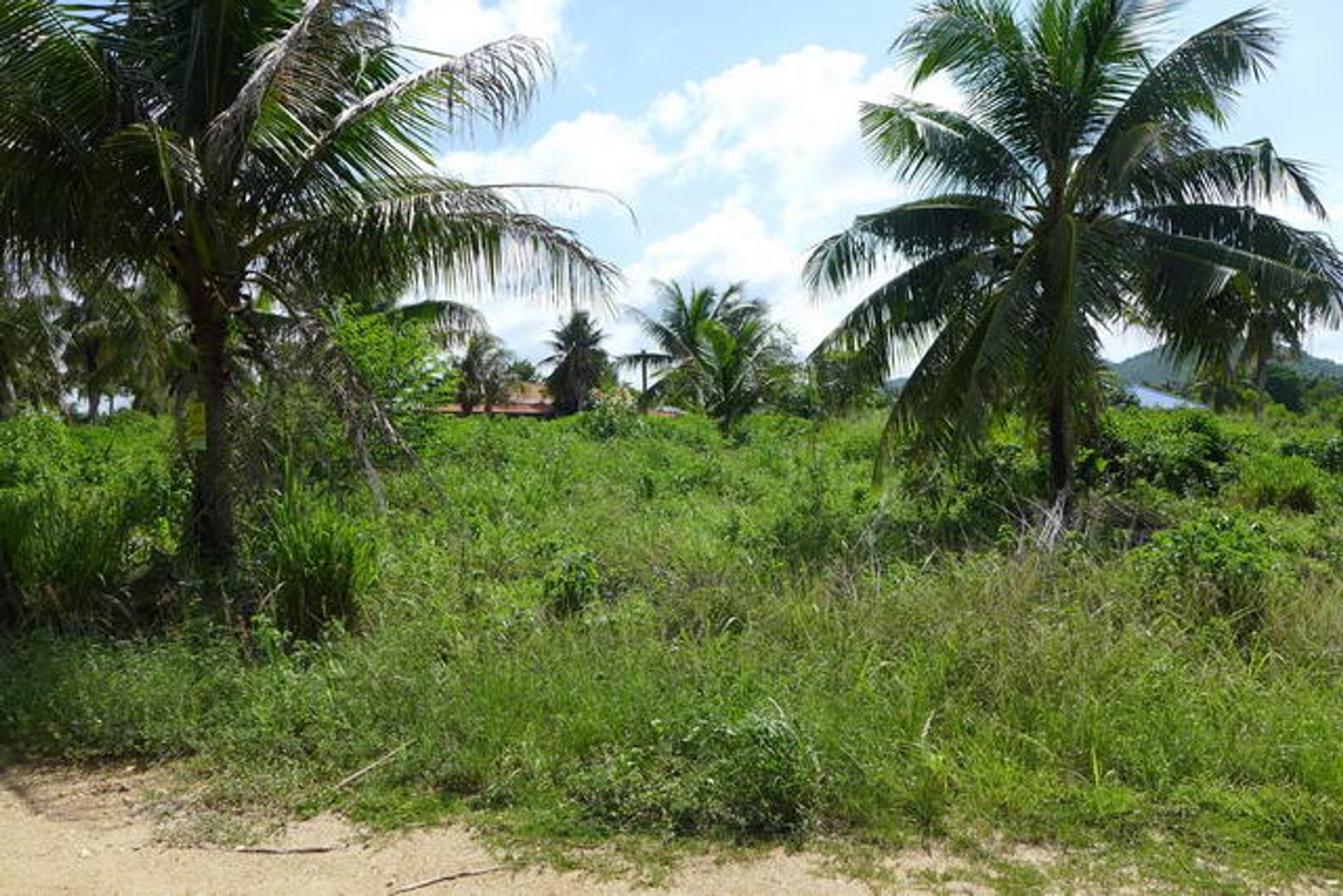 Tierra en Ban Nong Namtao Loi, Chonburi 10105285