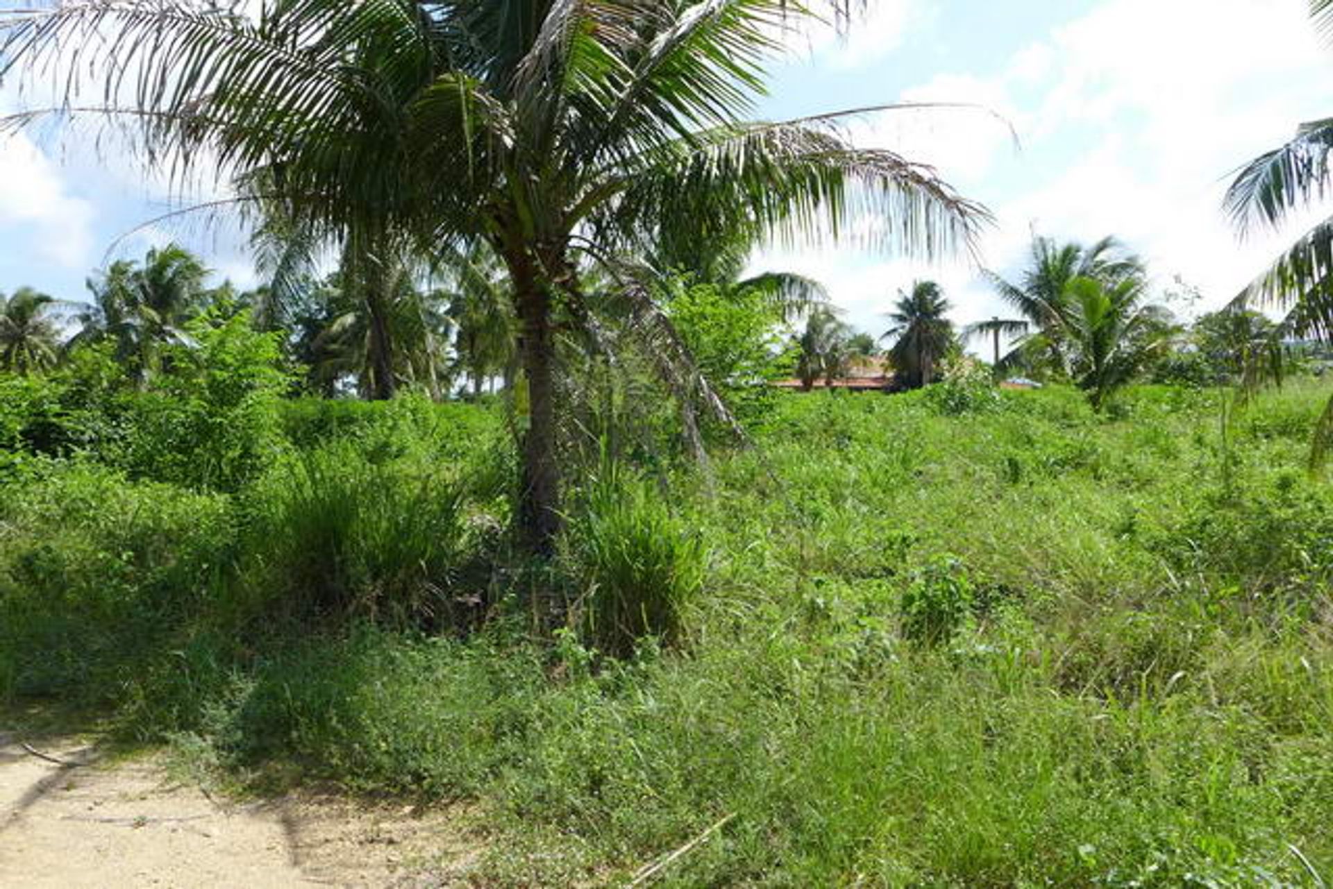 Tierra en Ban Nong Namtao Loi, Chonburi 10105285