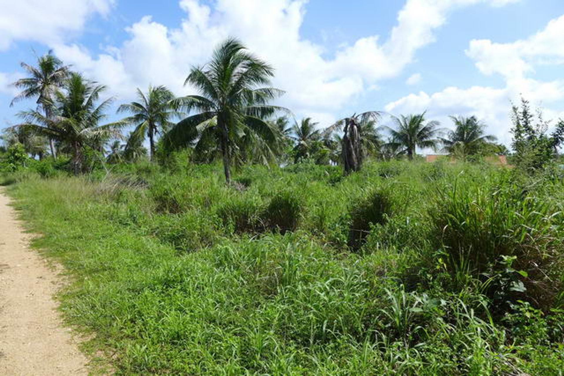 Tierra en Ban Nong Namtao Loi, Chonburi 10105285