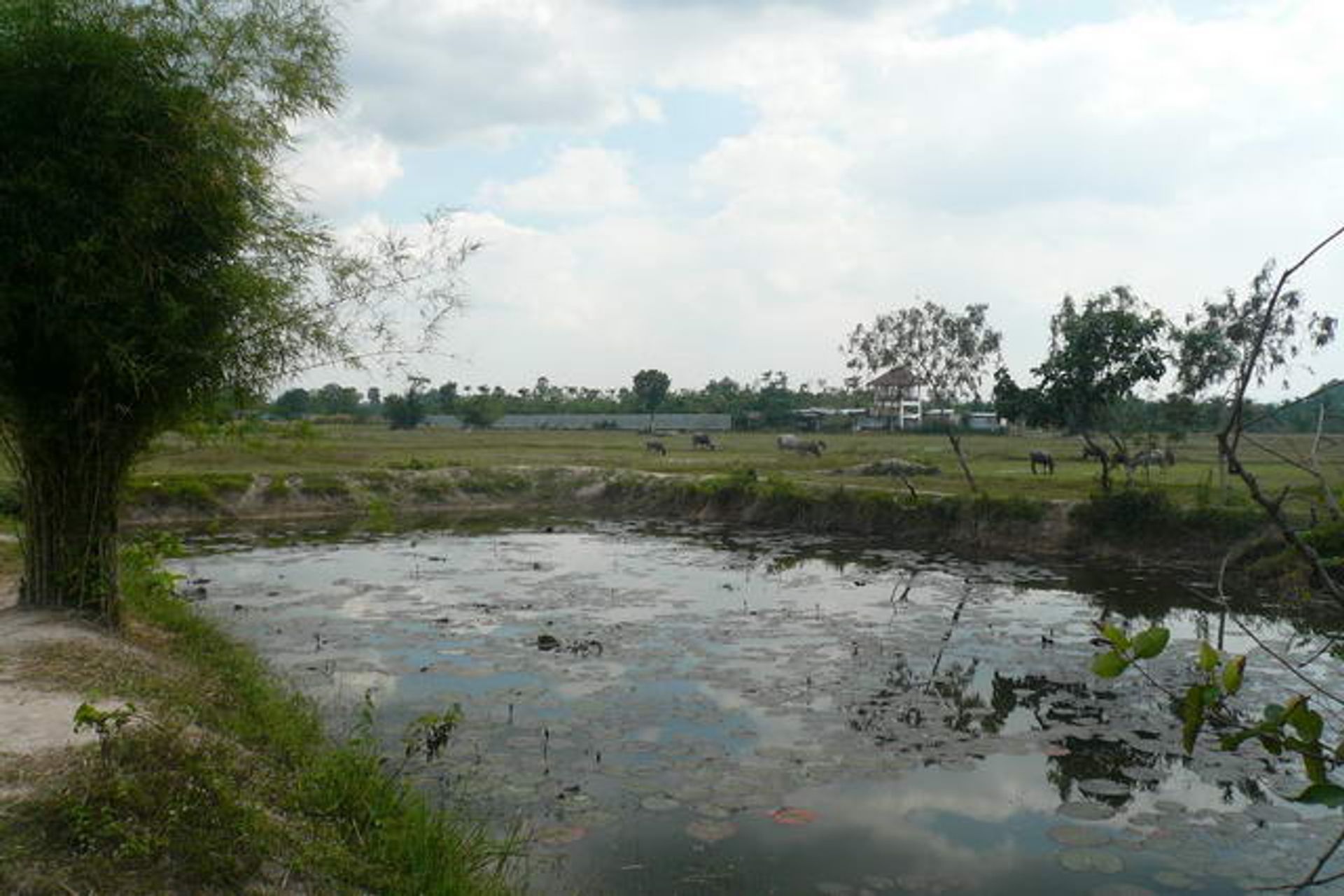 Tanah di Na Jomtien, Chonburi 10105558