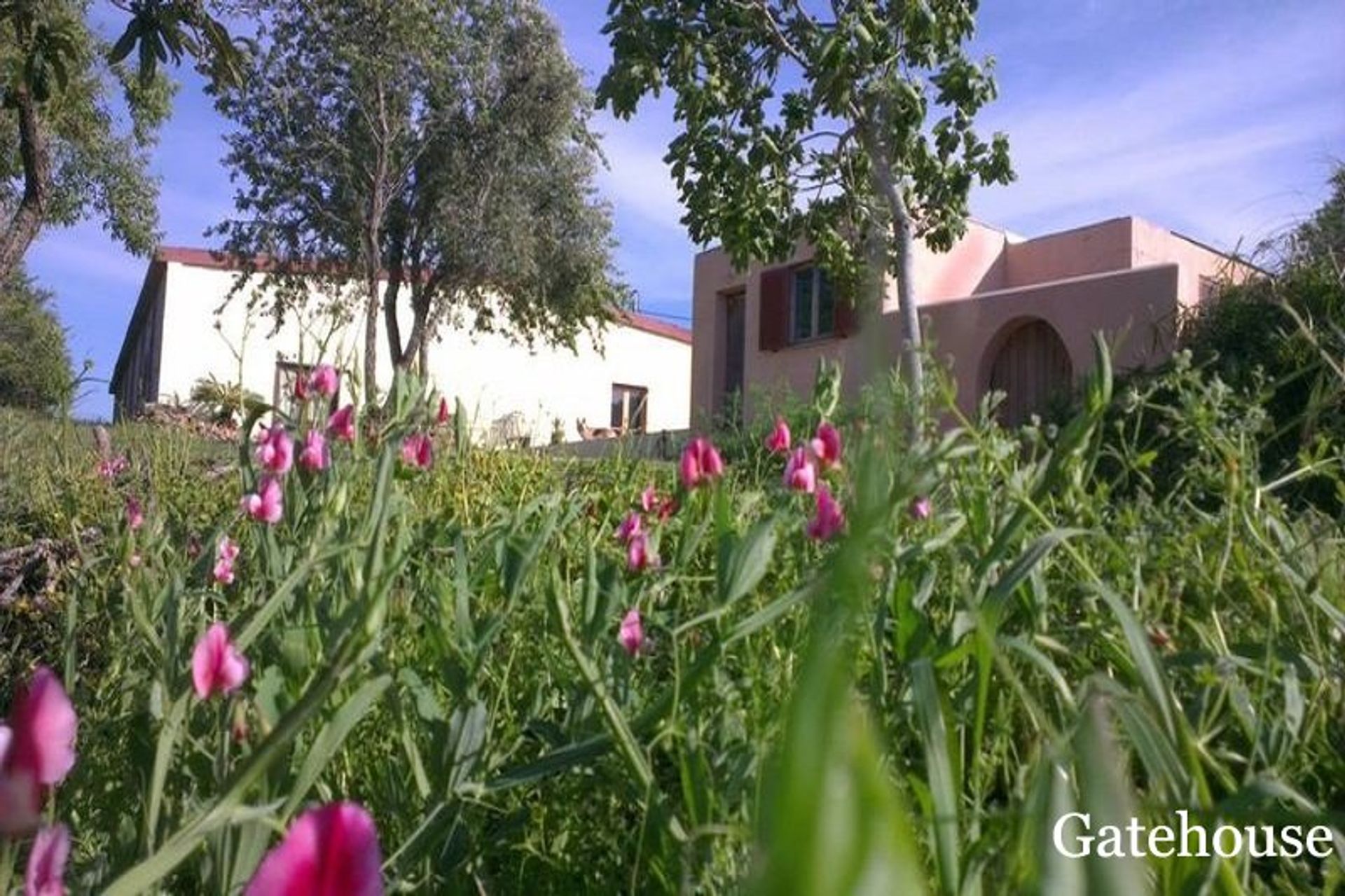 Casa nel Lagos, Faro 10105721