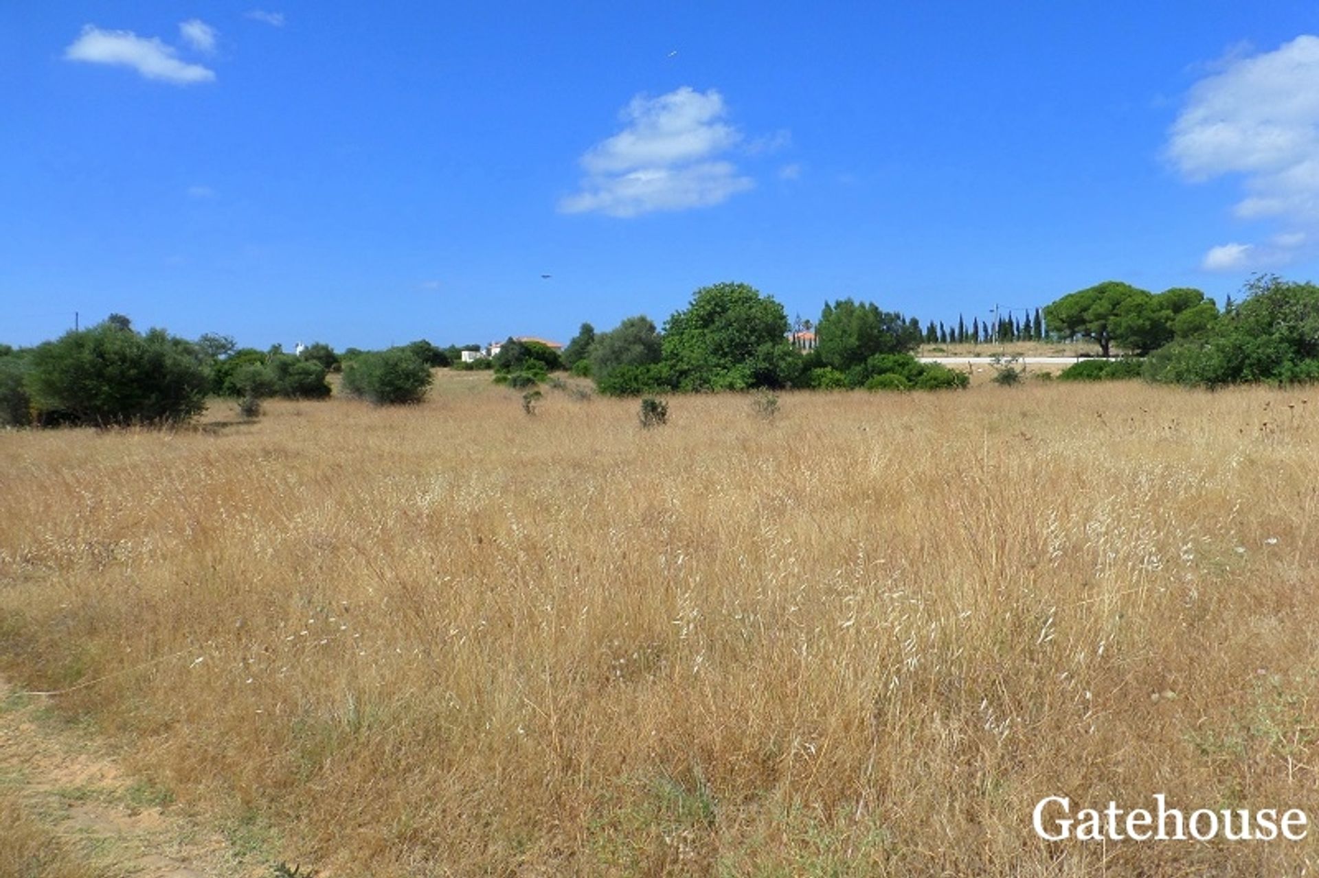 Muu sisään Quarteira, Algarve Central 10105736