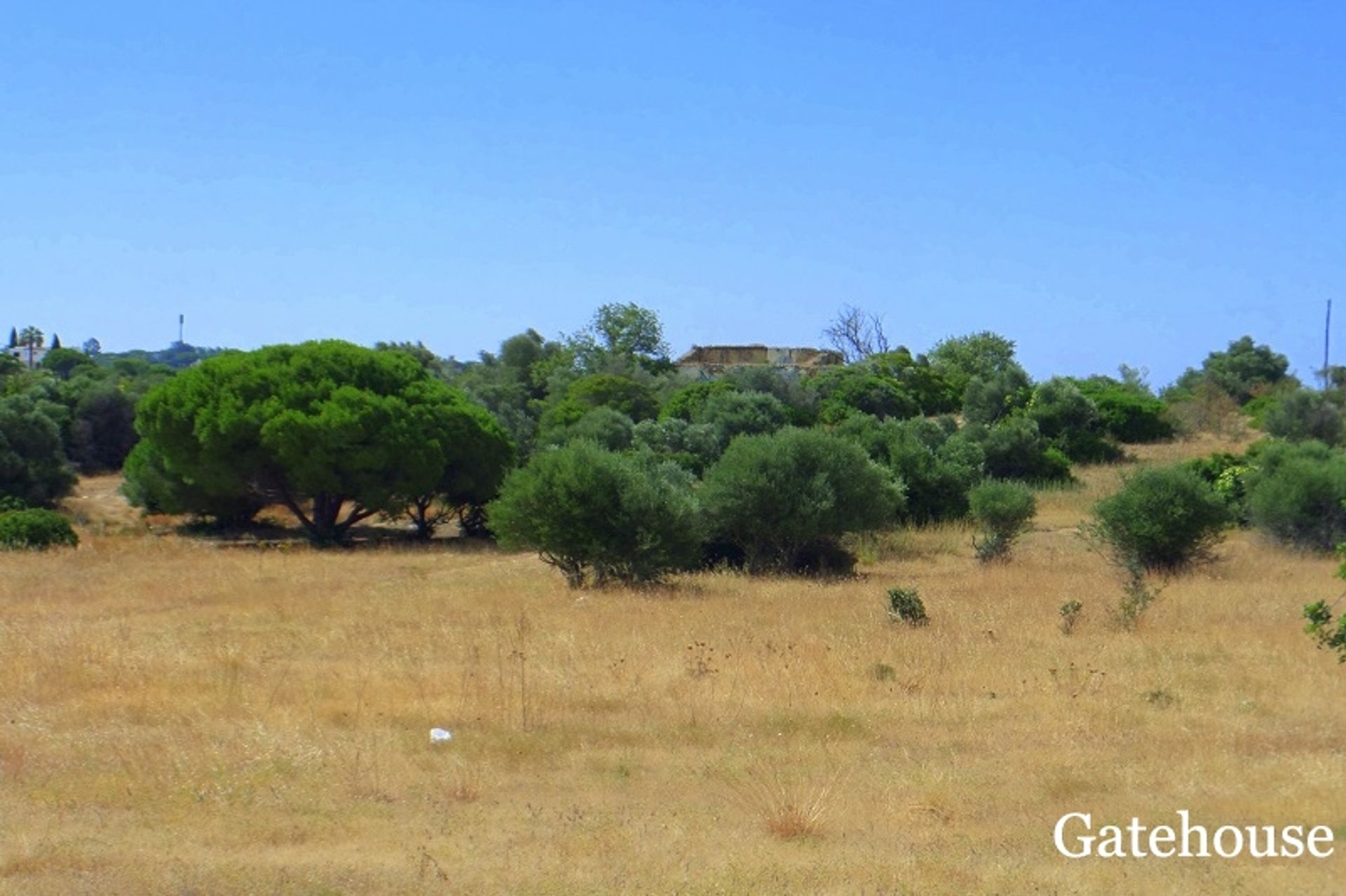 Muu sisään Quarteira, Algarve Central 10105736