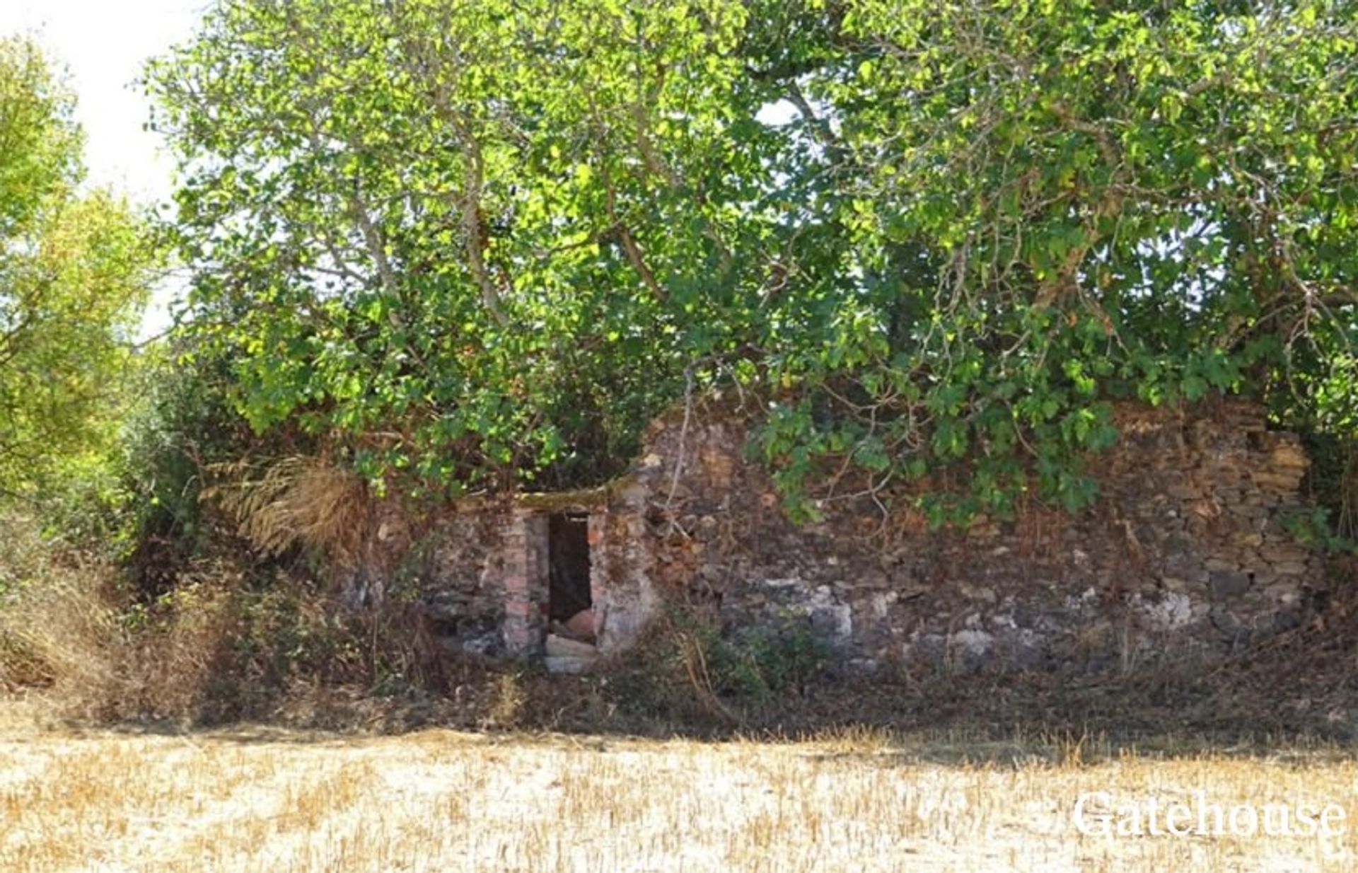 casa en Almodovar, Alentejo 10105852