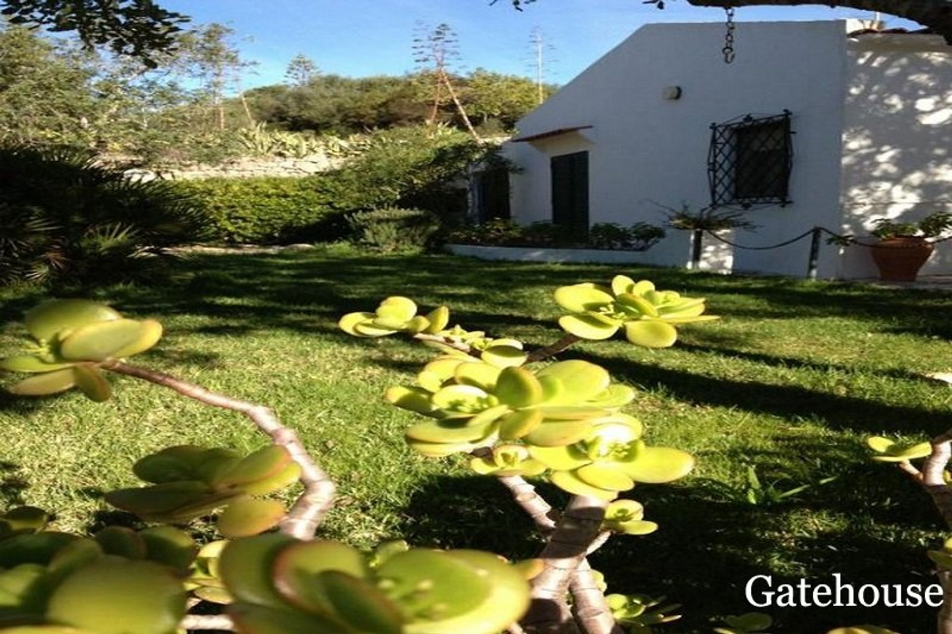 House in Santa Barbara De Nexe, Algarve Central 10105958