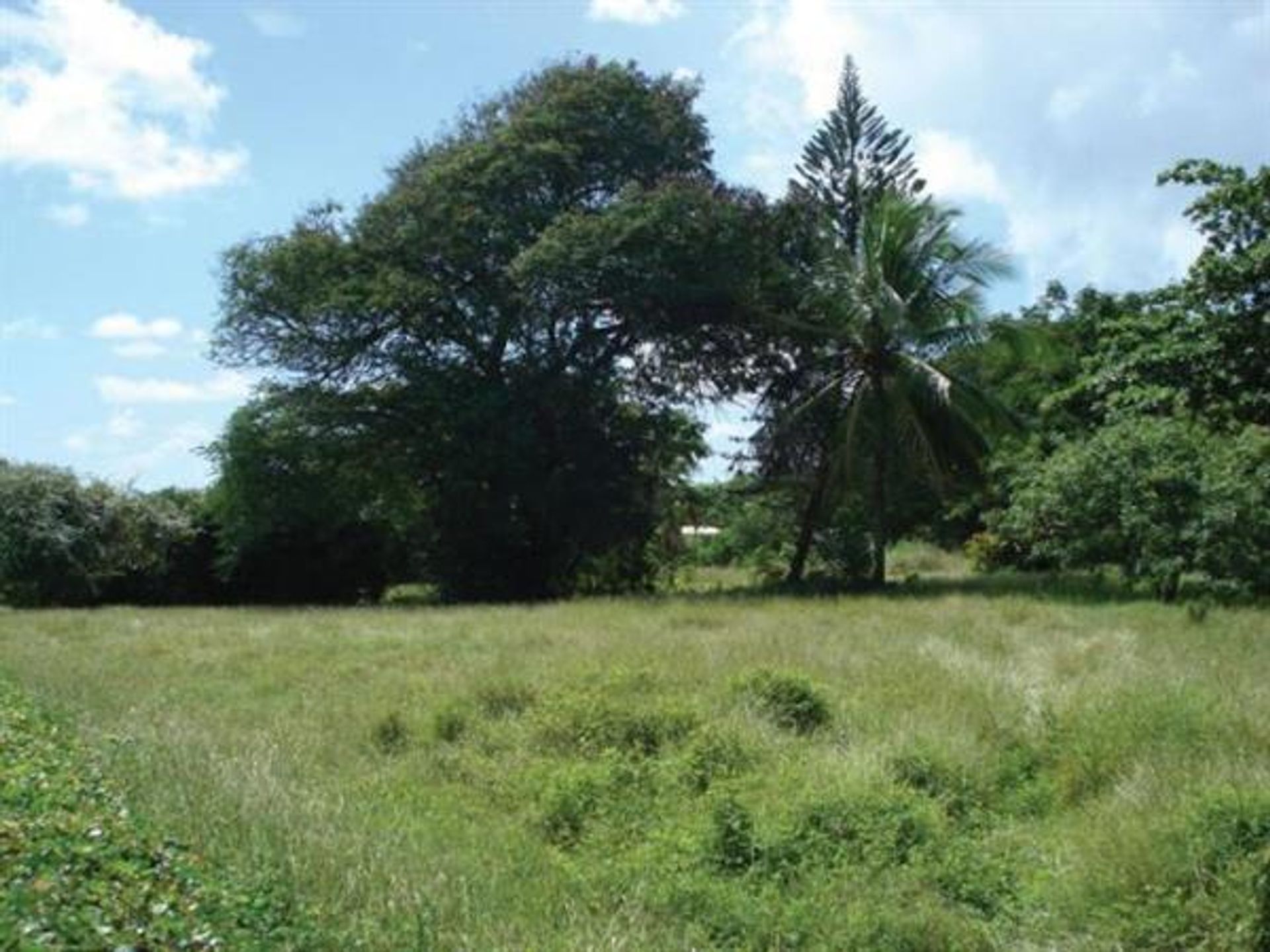 Tanah di Kawasan Perumahan Pinus, Santo Michael 10106038