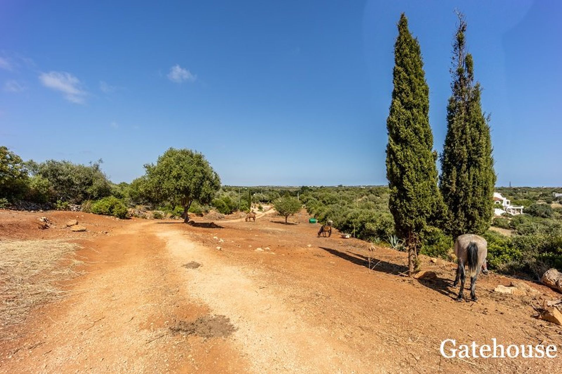 Yang lain dalam Vila Do Bispo, Algarve Ouest 10106077