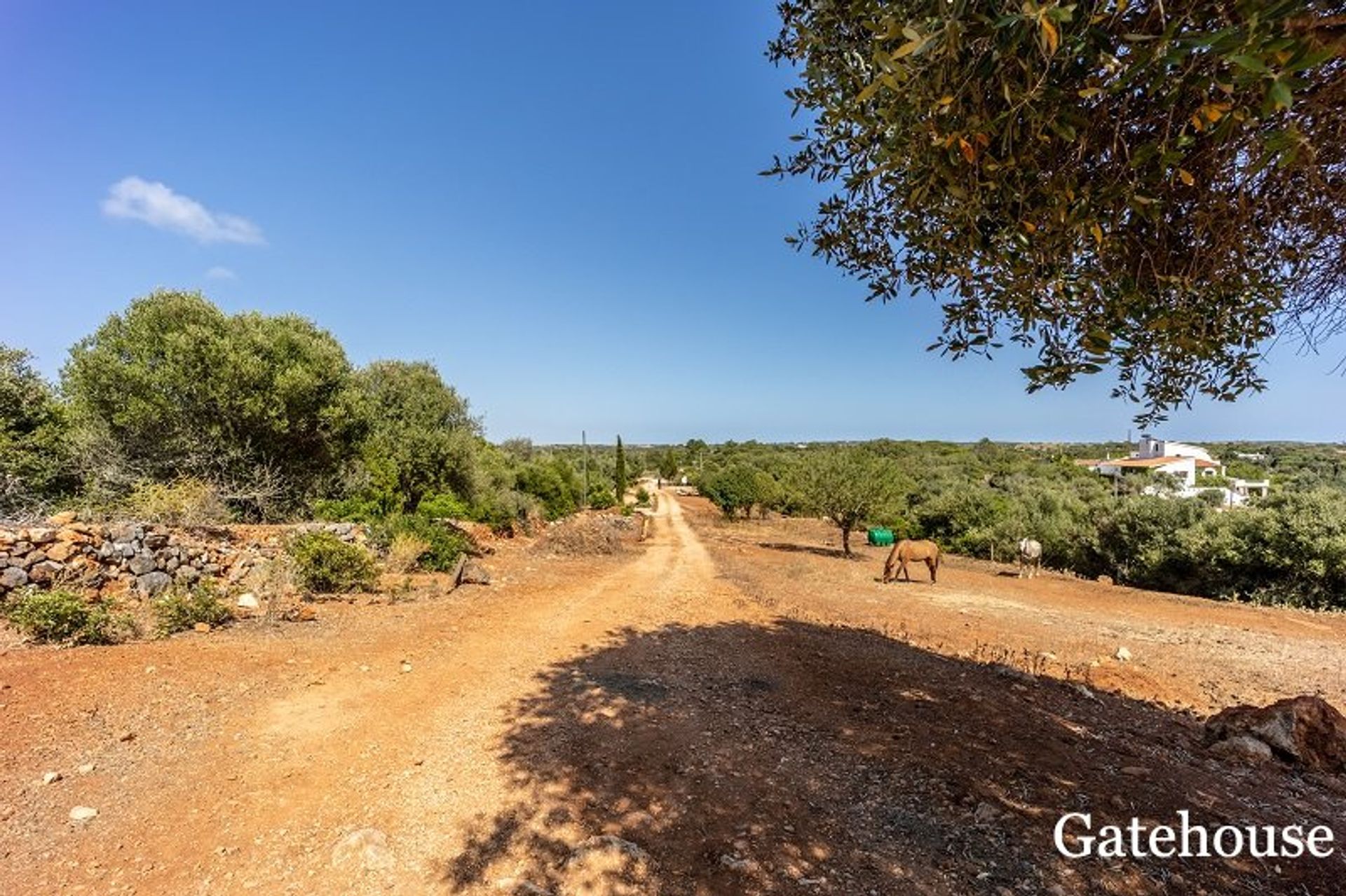 Yang lain dalam Vila Do Bispo, Algarve Ouest 10106077