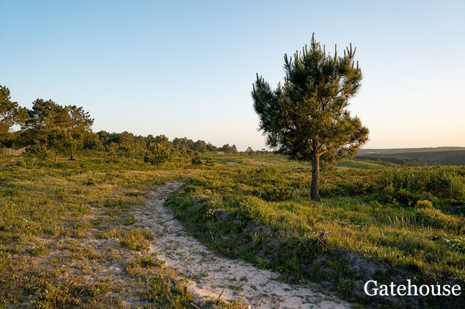 Annen i Vila Do Bispo, Algarve Ouest 10106089