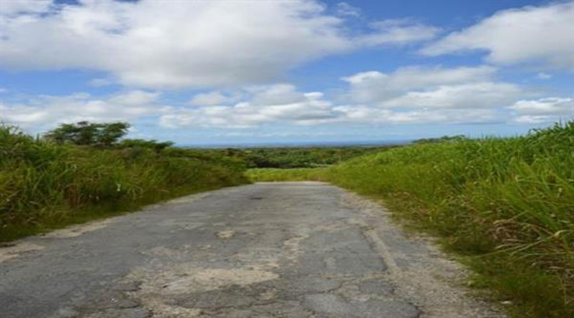 Tierra en Bushy Park Land, Saint Thomas 10106128