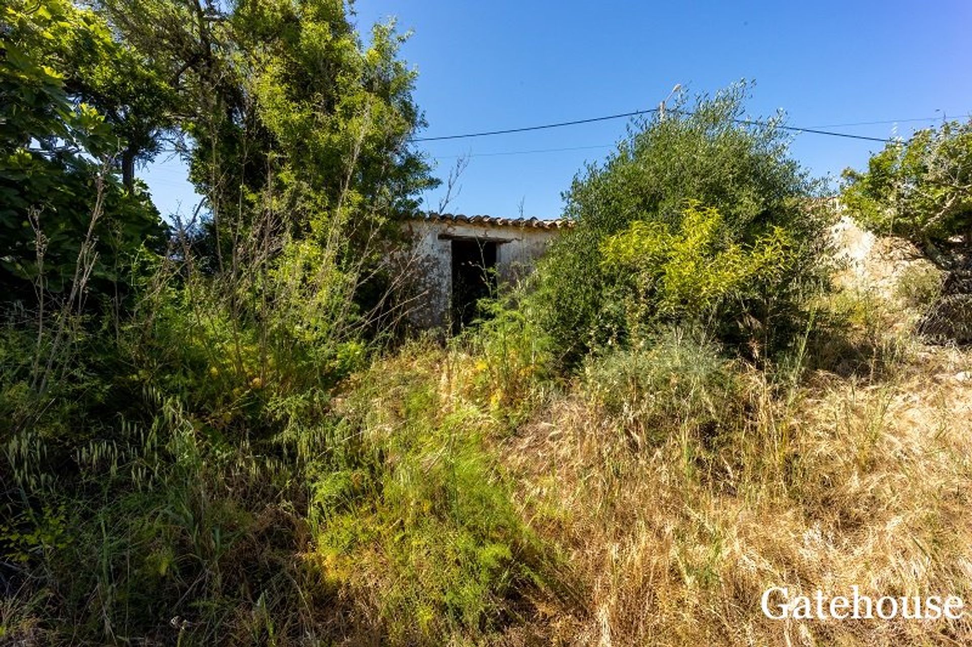 Yang lain dalam Vila Do Bispo, Algarve Ouest 10106189