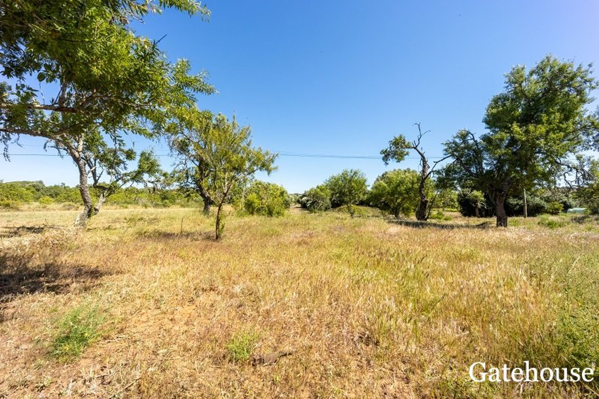 其他 在 Vila Do Bispo, Algarve Ouest 10106189