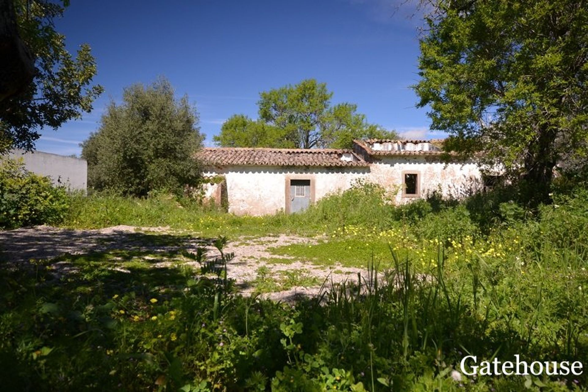 Annen i Santa Barbara de Nexe, Faro 10106293