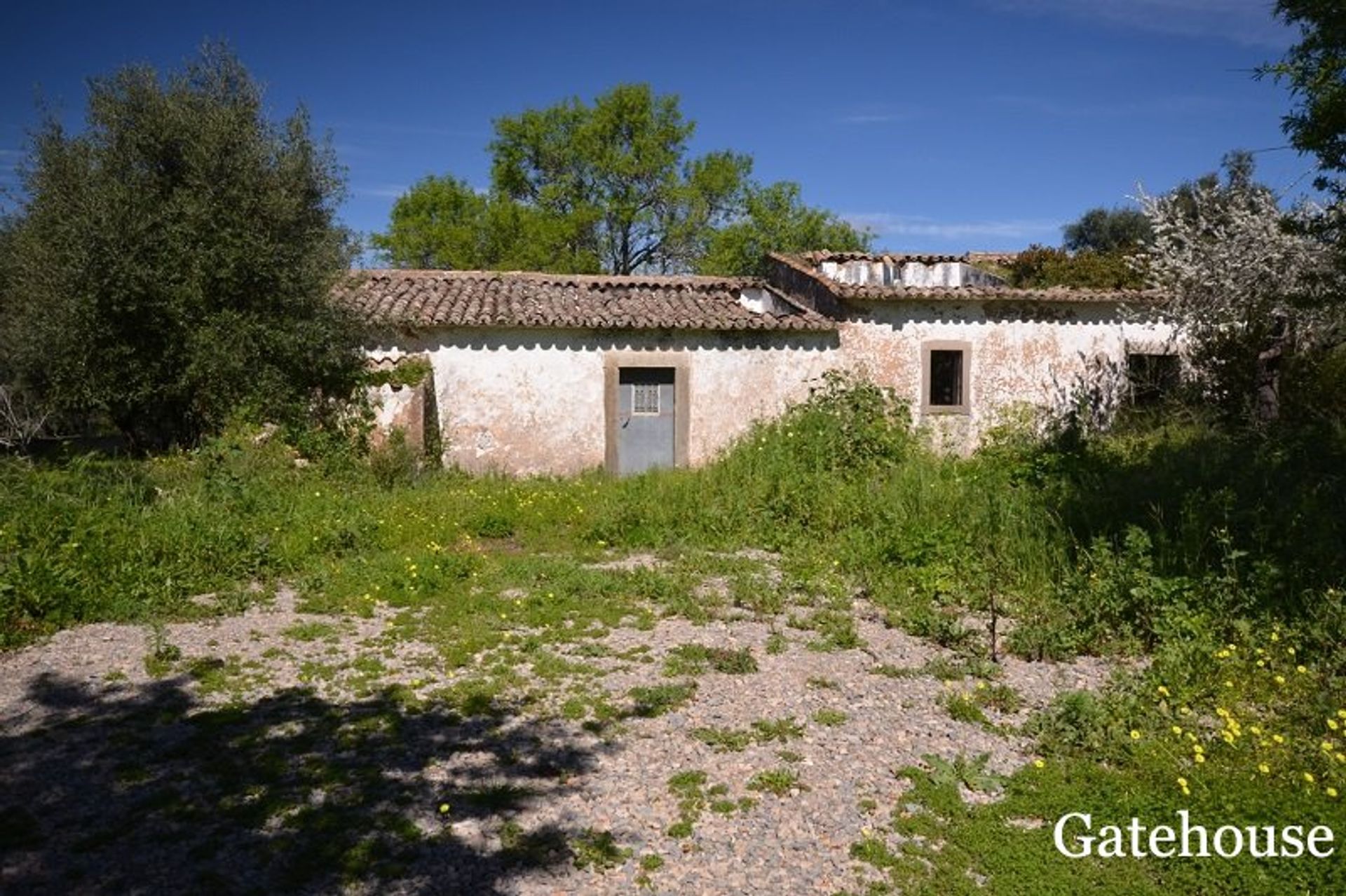 Andere in Santa Barbara de Nexe, Faro 10106293