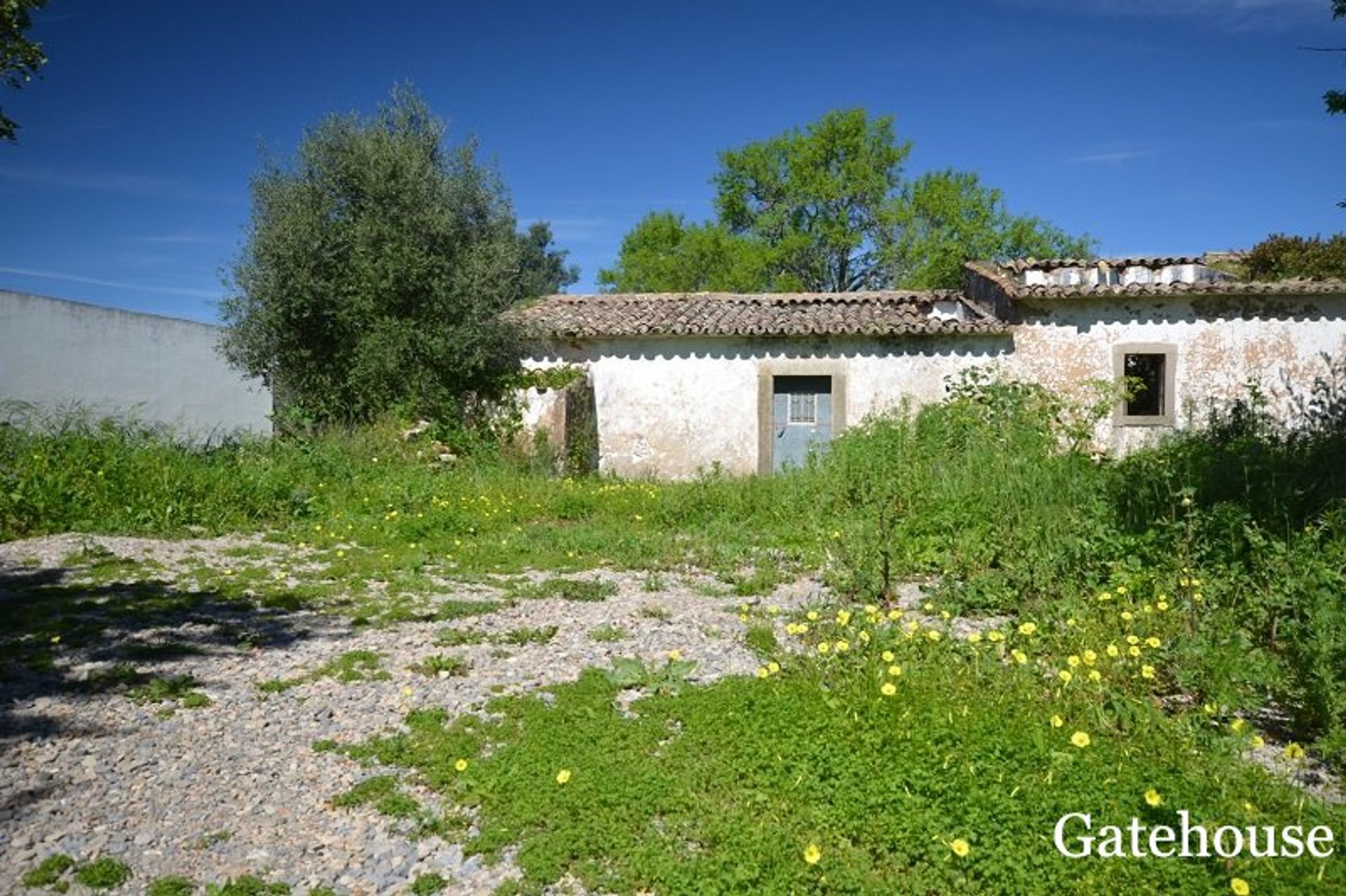 Αλλα σε Santa Barbara De Nexe, Algarve Central 10106293