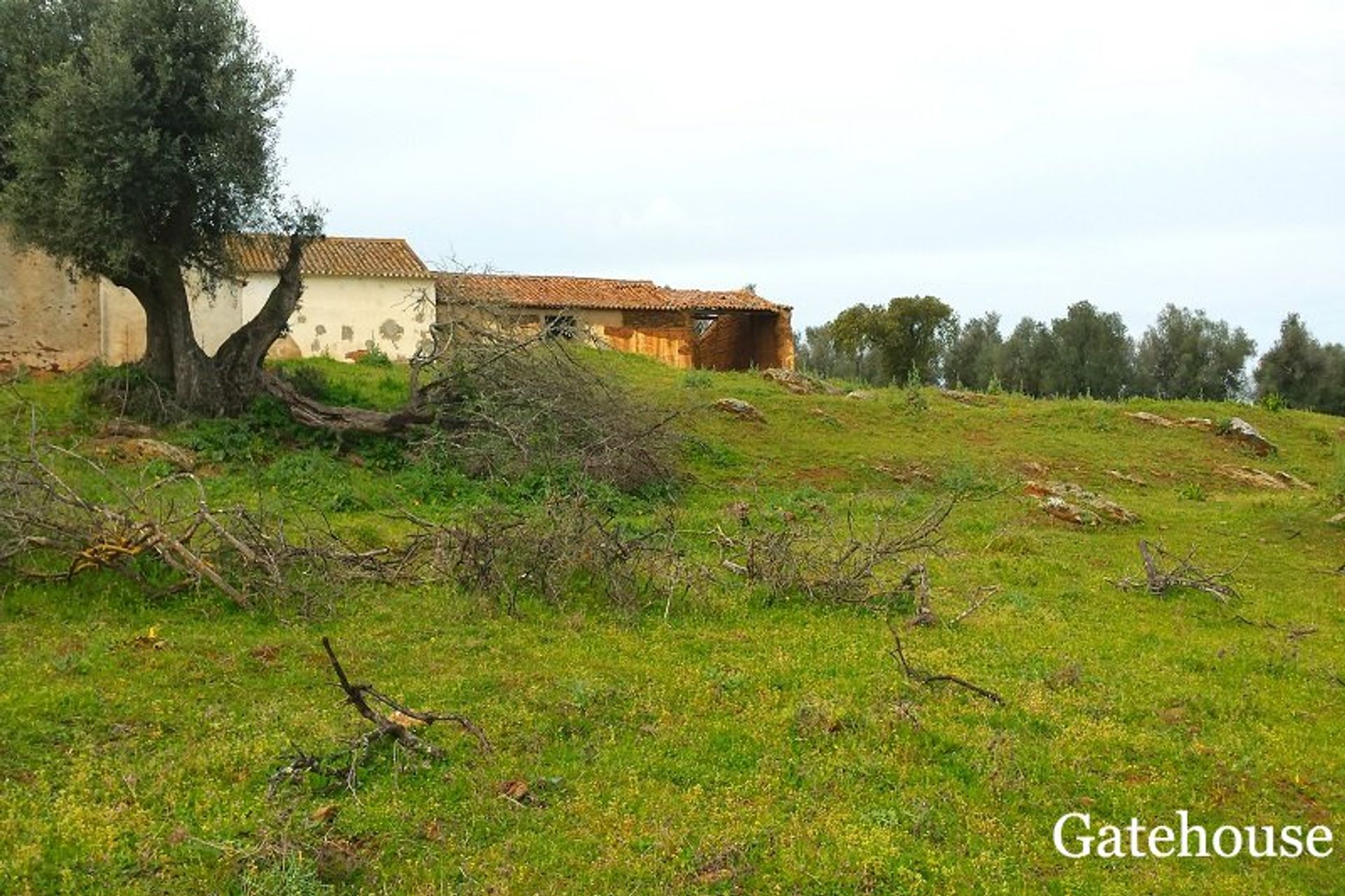 Inny w Ourique, Alentejo 10106330