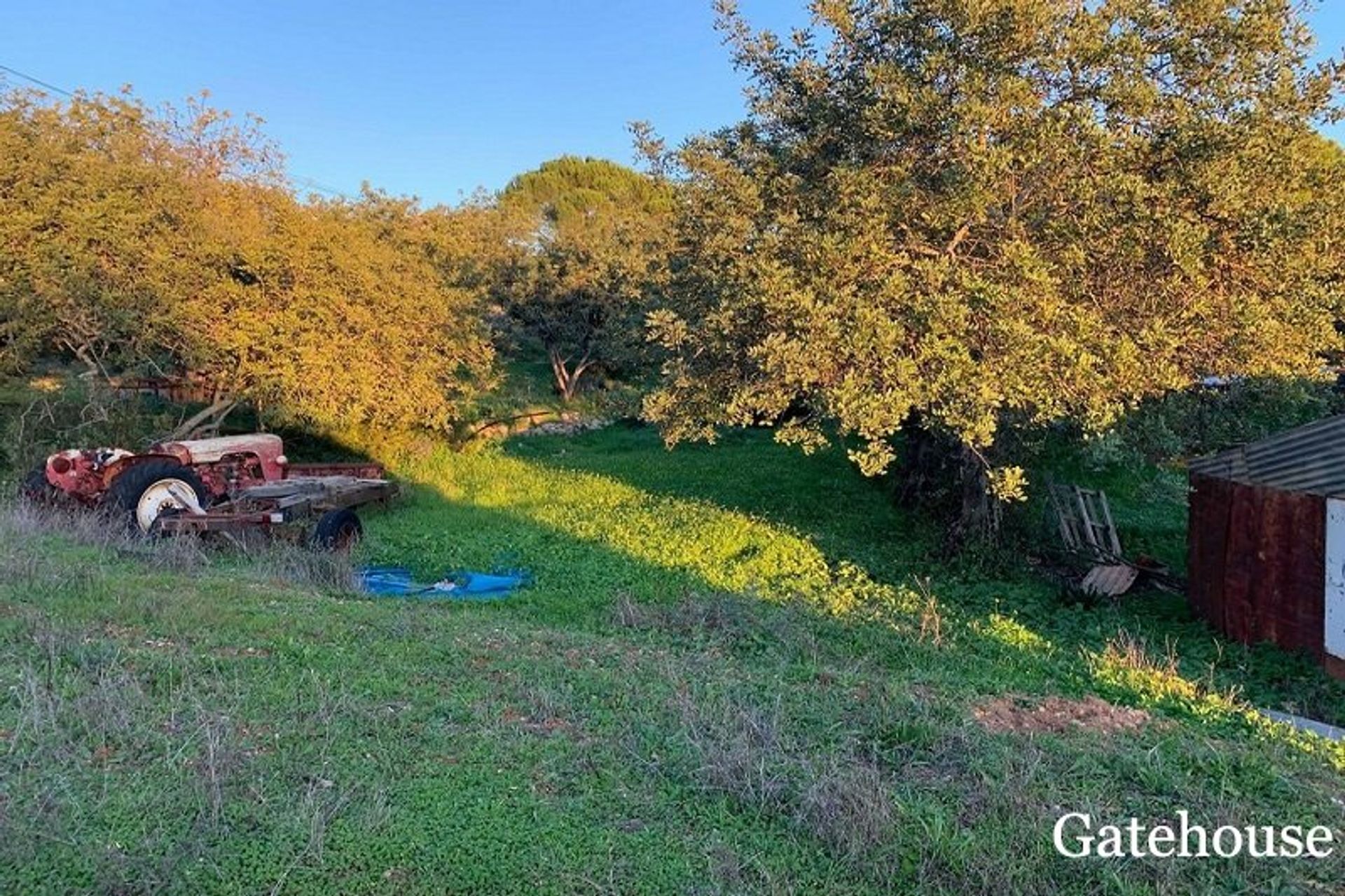 casa no Santa Barbara De Nexe, Algarve Central 10106446