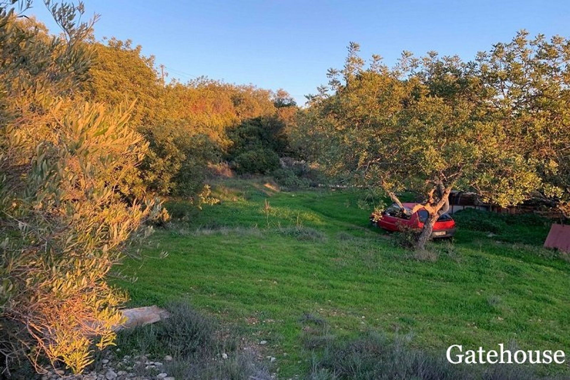 casa no Santa Barbara De Nexe, Algarve Central 10106446