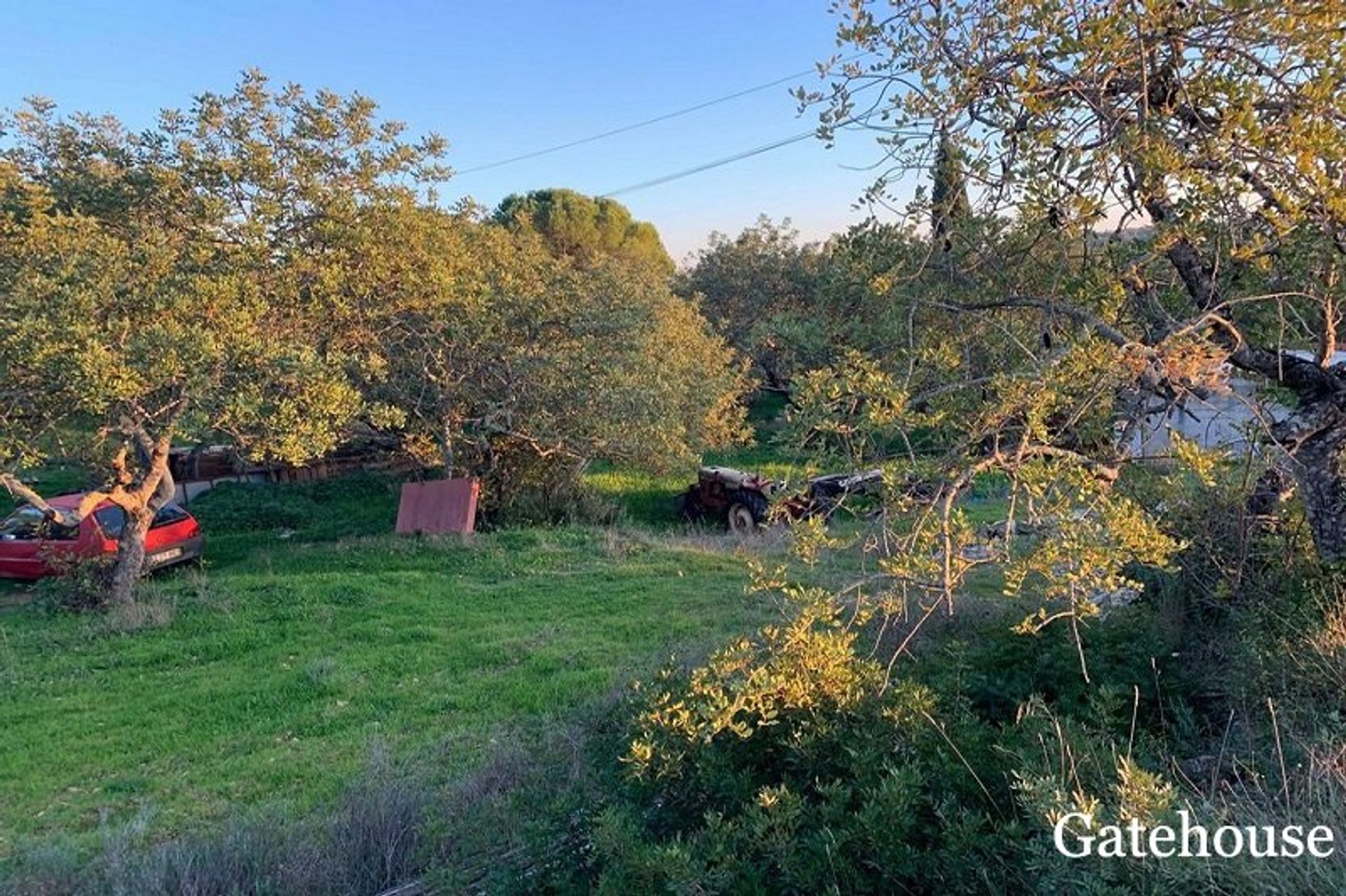 casa no Santa Barbara De Nexe, Algarve Central 10106446