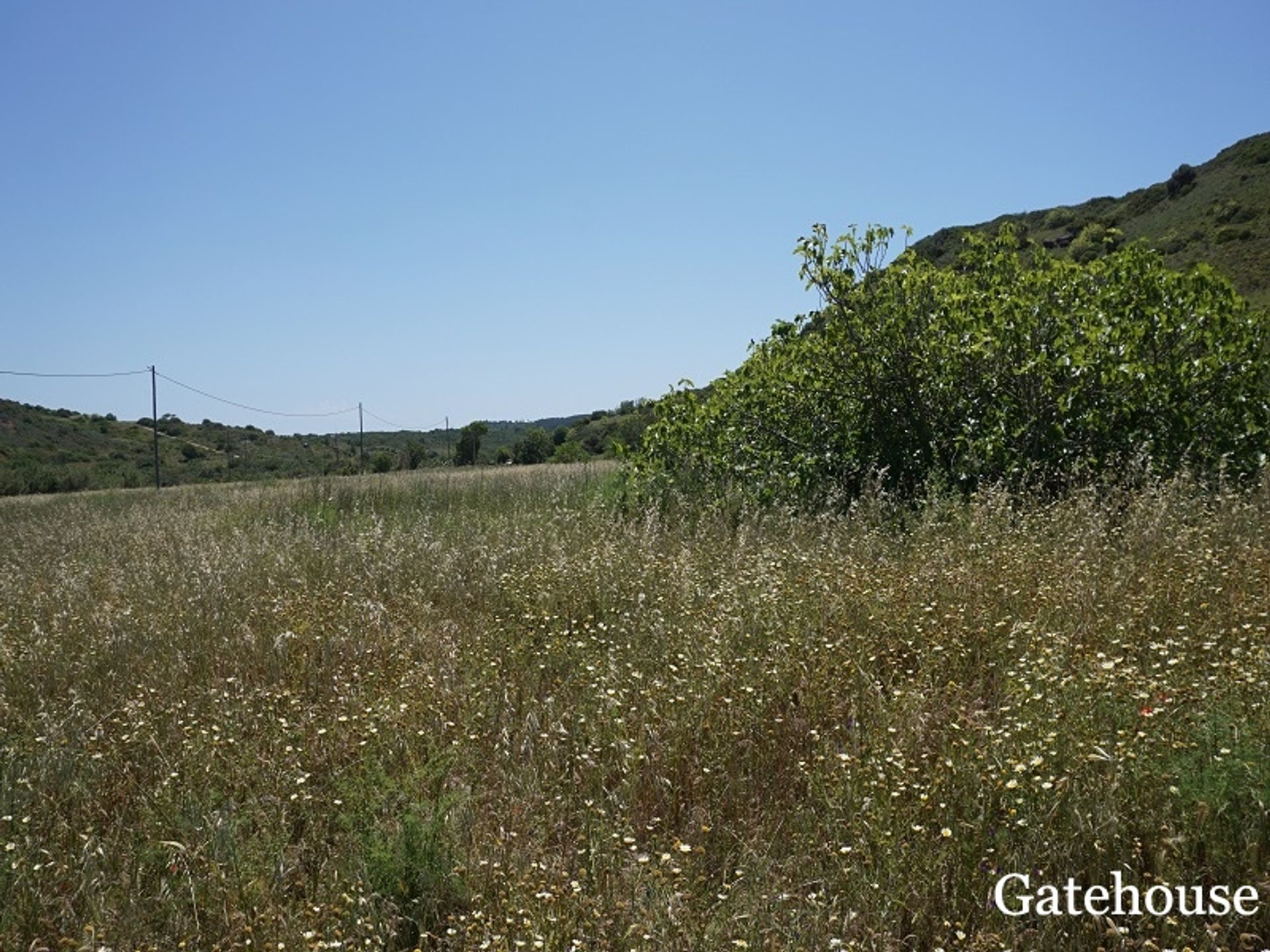 Αλλα σε Vila do Bispo, Faro 10106519