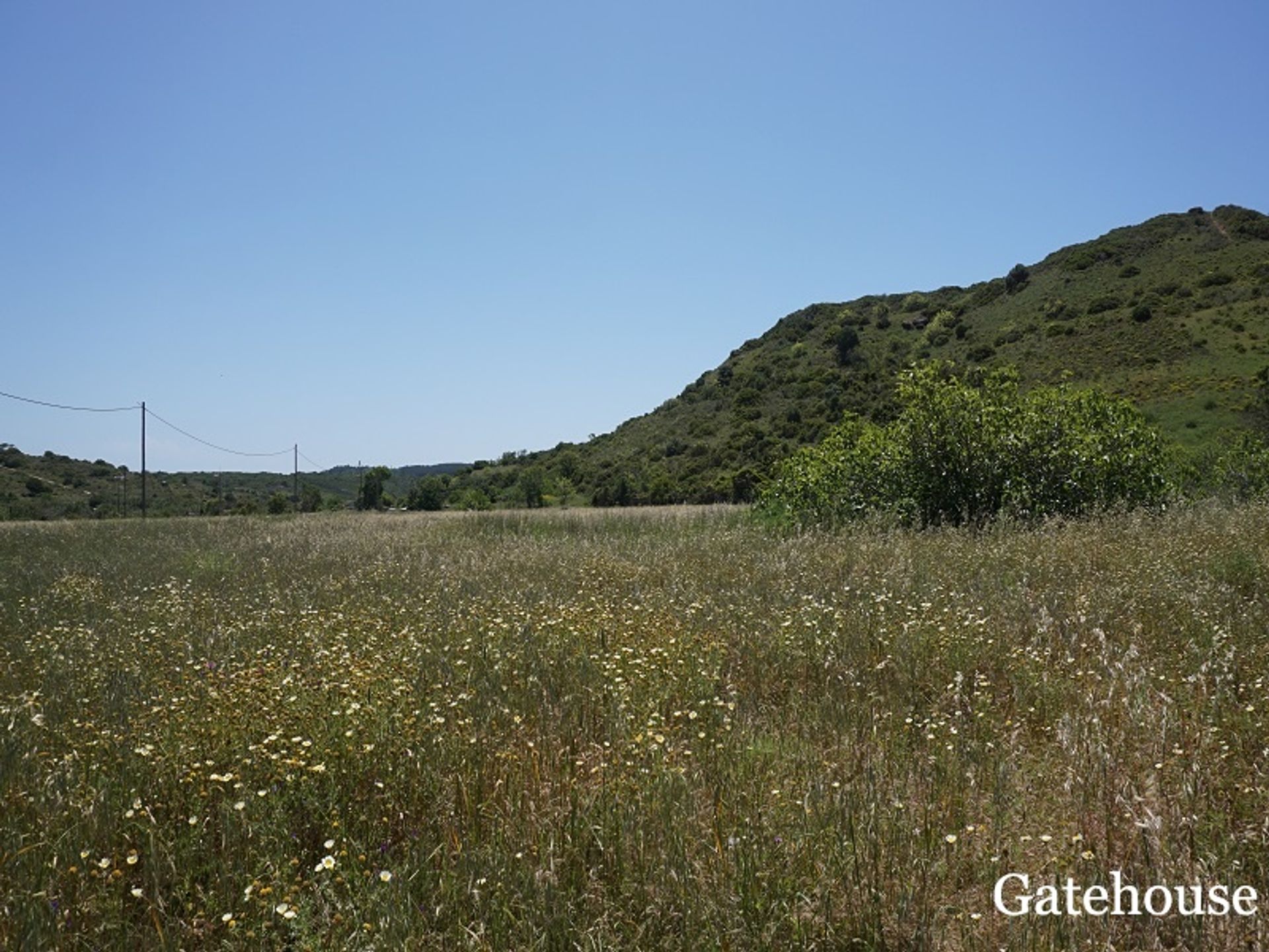 Andet i Vila Do Bispo, Algarve Ouest 10106519