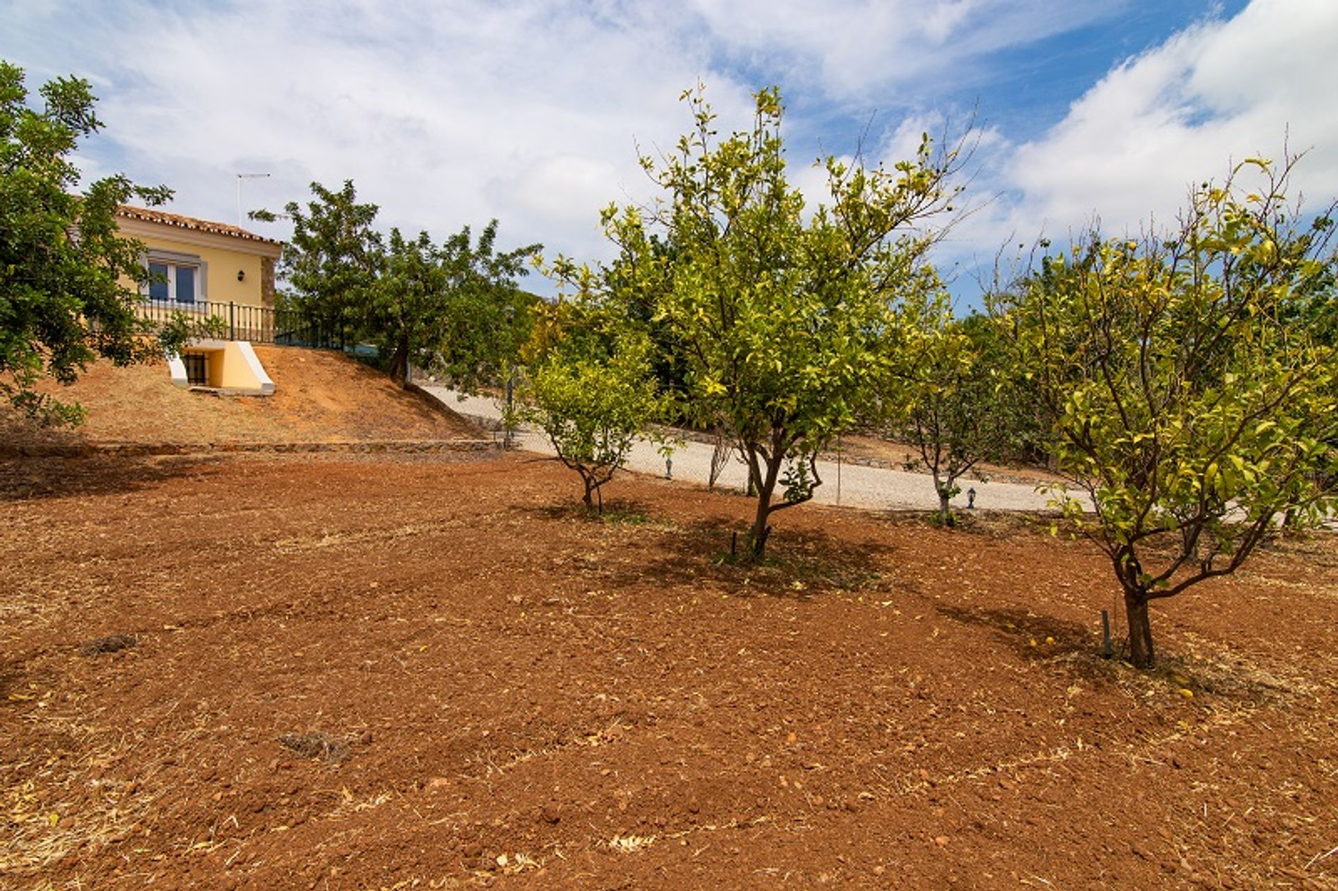 Haus im Sao Bras De Alportel, Algarve Est 10106557