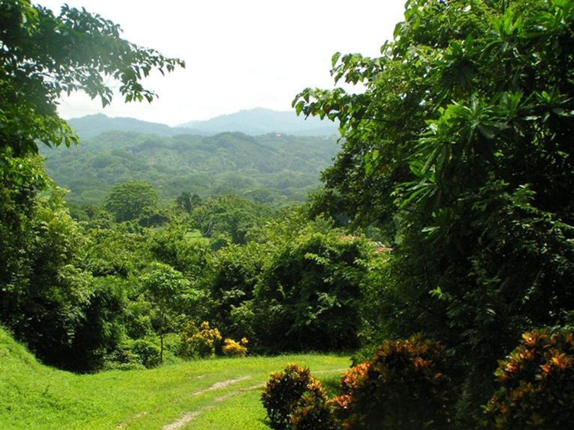 Eigentumswohnung im Tambor, Puntarenas 10106616