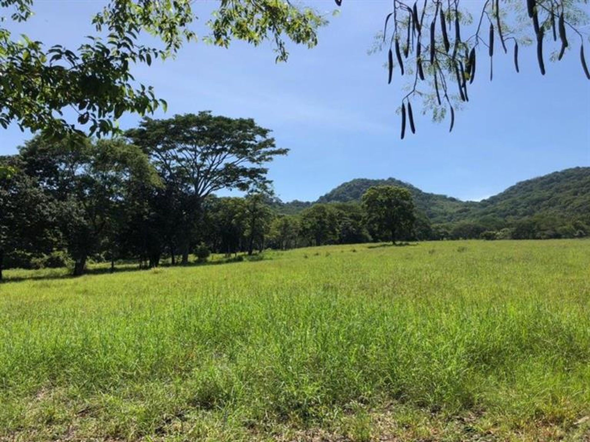 Casa nel Copal, Nicoya 10106618