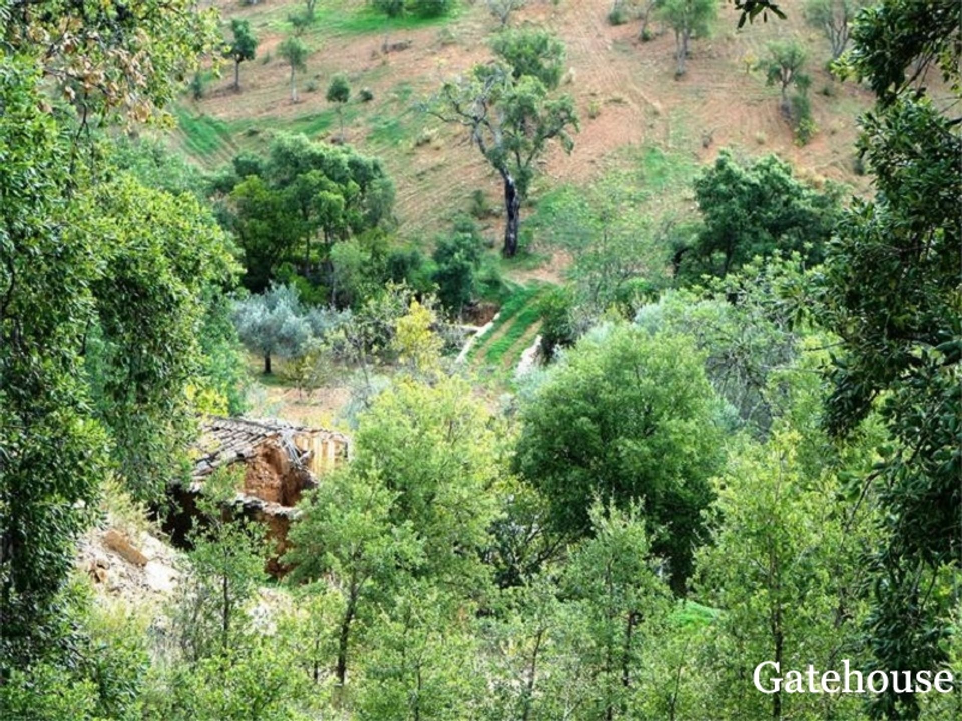 אַחֵר ב Santa Catarina Da Fonte Do Bispo, Algarve Est 10106689