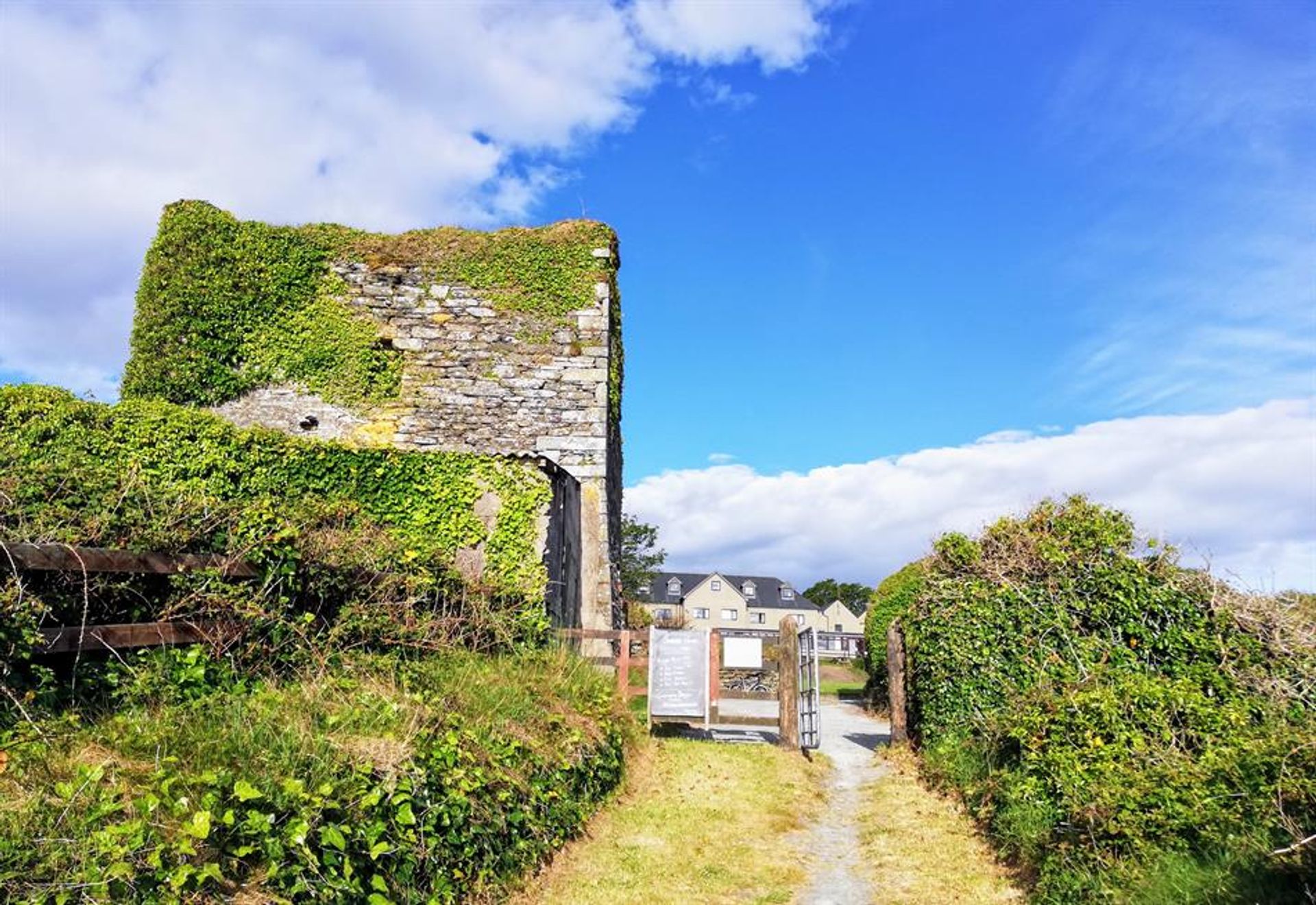 Detailhandel i Sherkin Island, Co Cork 10106839