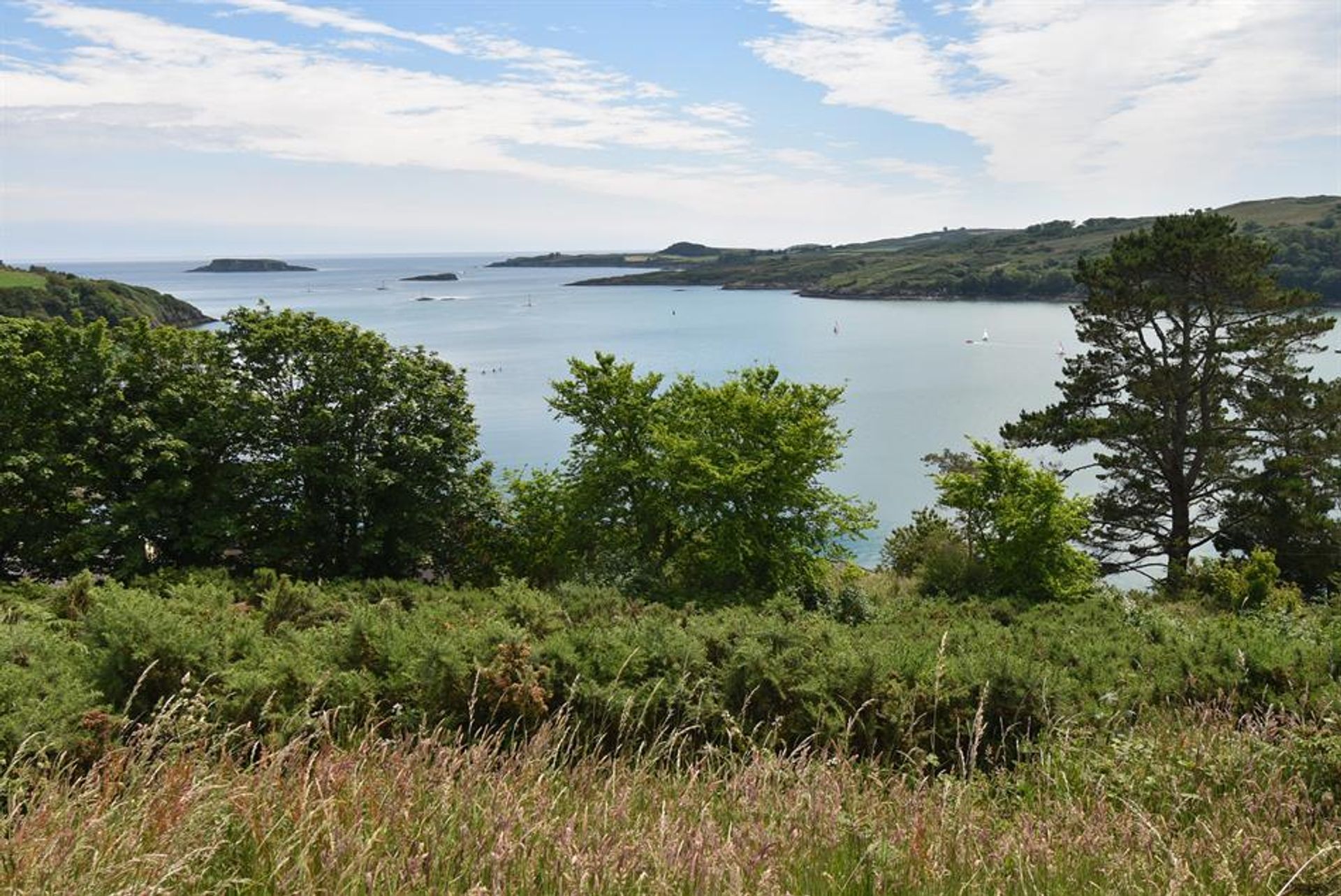 Land im Glandore, Kork 10106855