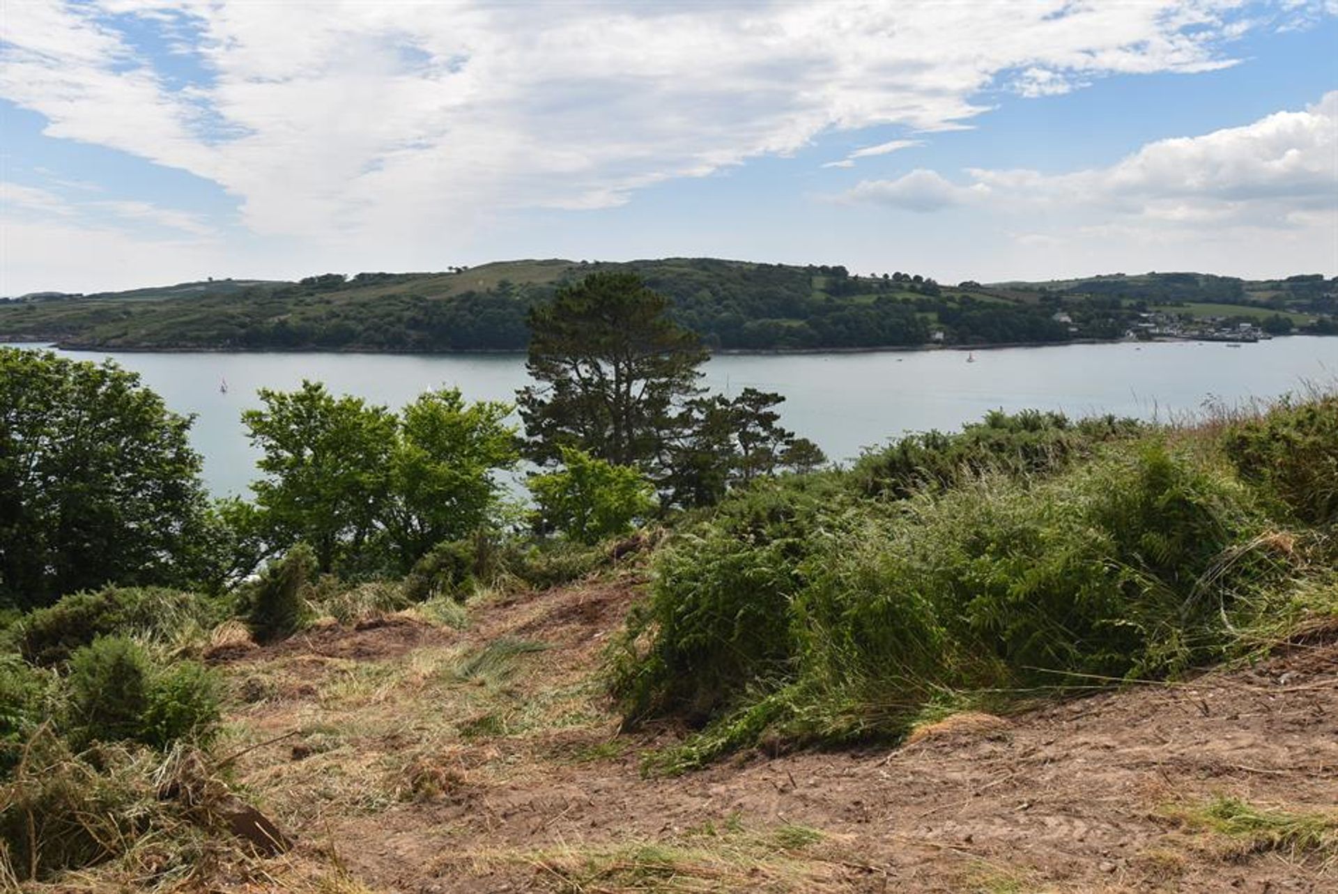 Land im Glandore, Kork 10106855