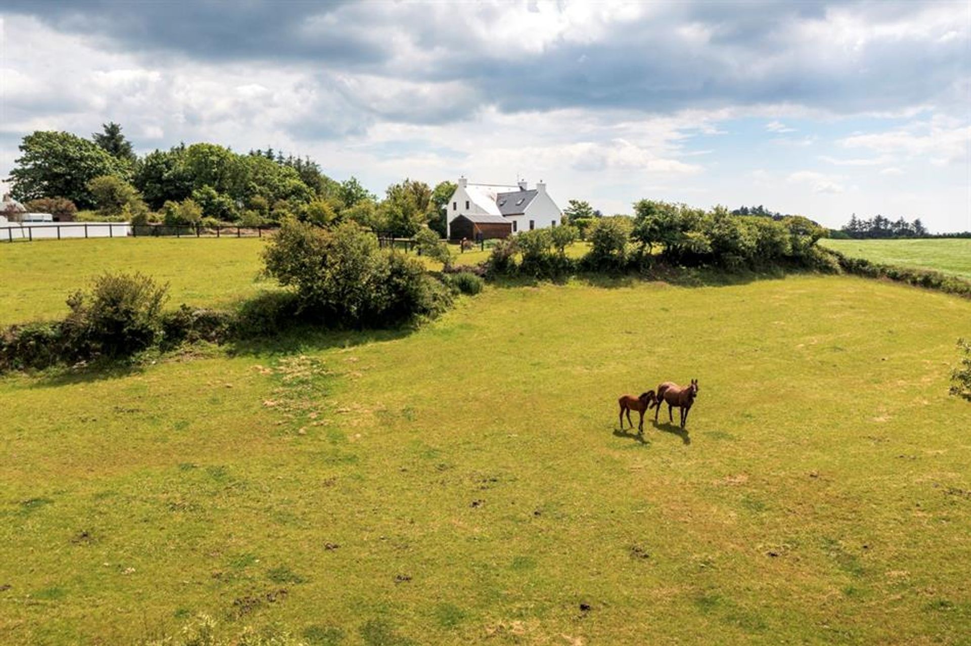 rumah dalam Skibbereen, Co Cork 10106856