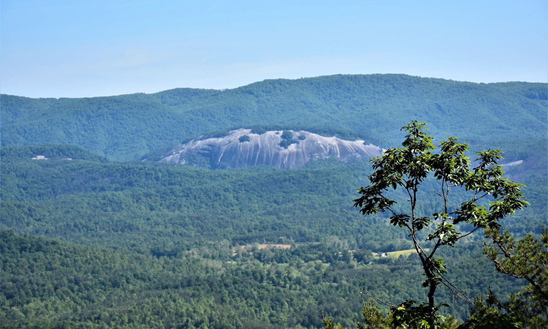 Eigentumswohnung im Traphil, North Carolina 10106901