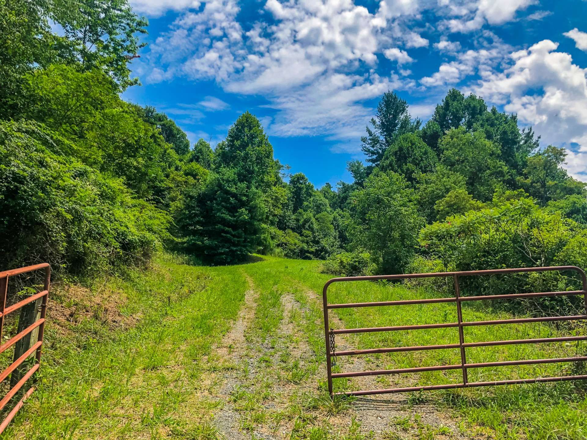 분양 아파트 에 Todd, North Carolina 10106921