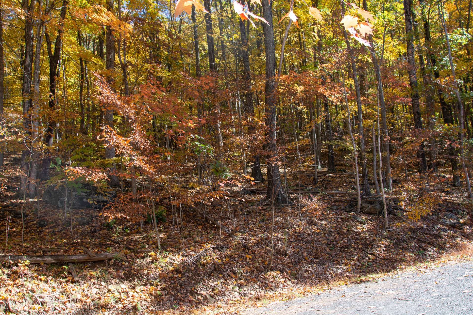 Συγκυριαρχία σε West Jefferson, North Carolina 10106961