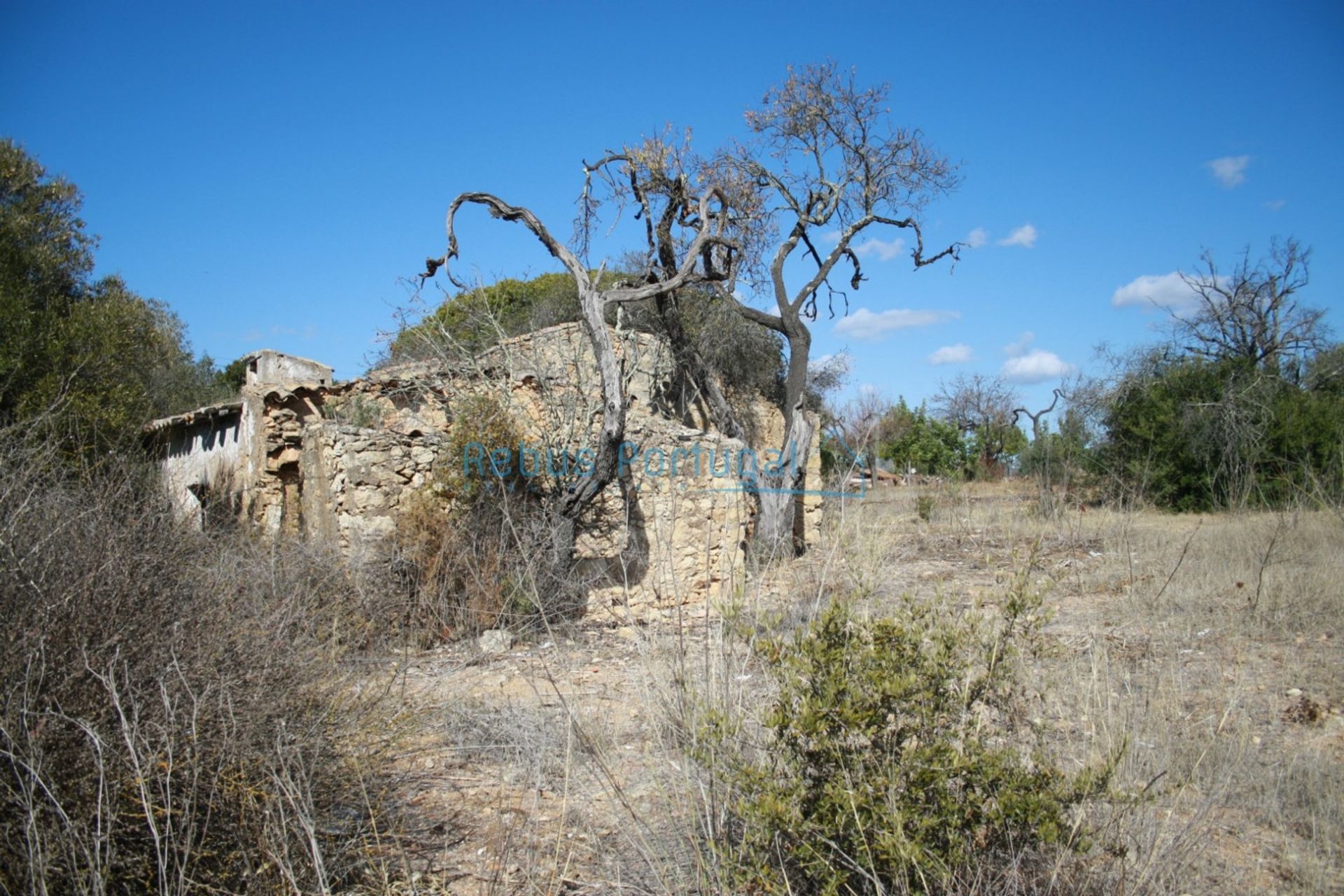 土地 在 Faro, Faro District 10107933