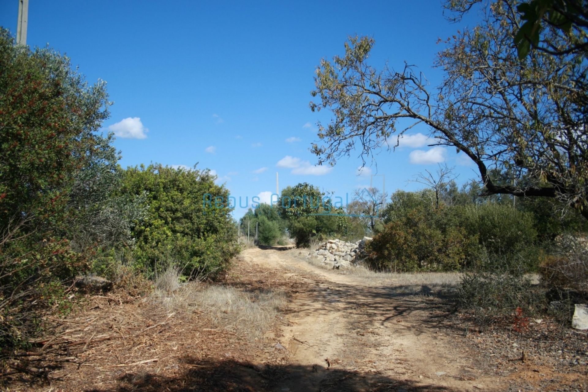 ארץ ב Faro, Faro District 10107933