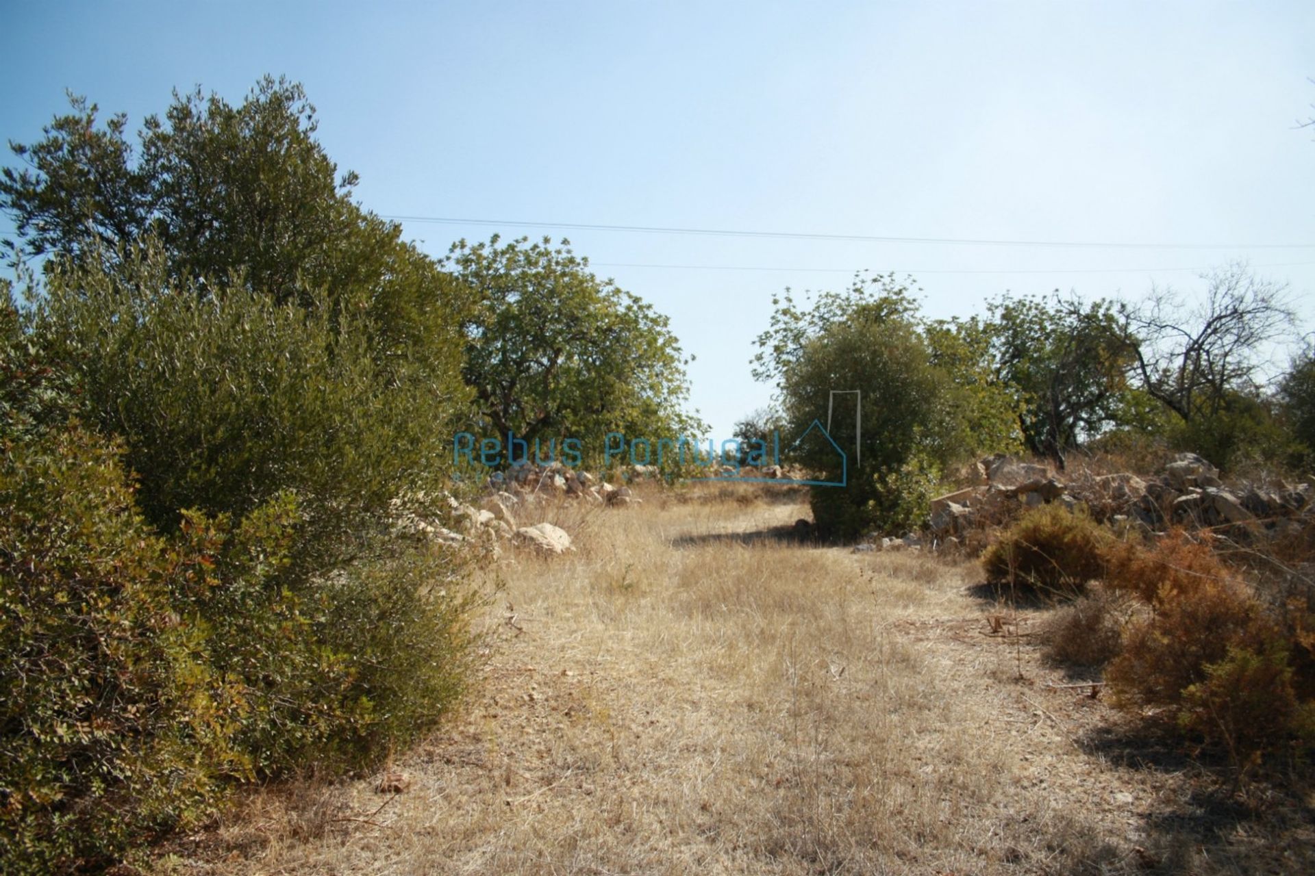 Land in Faro, Faro District 10107933