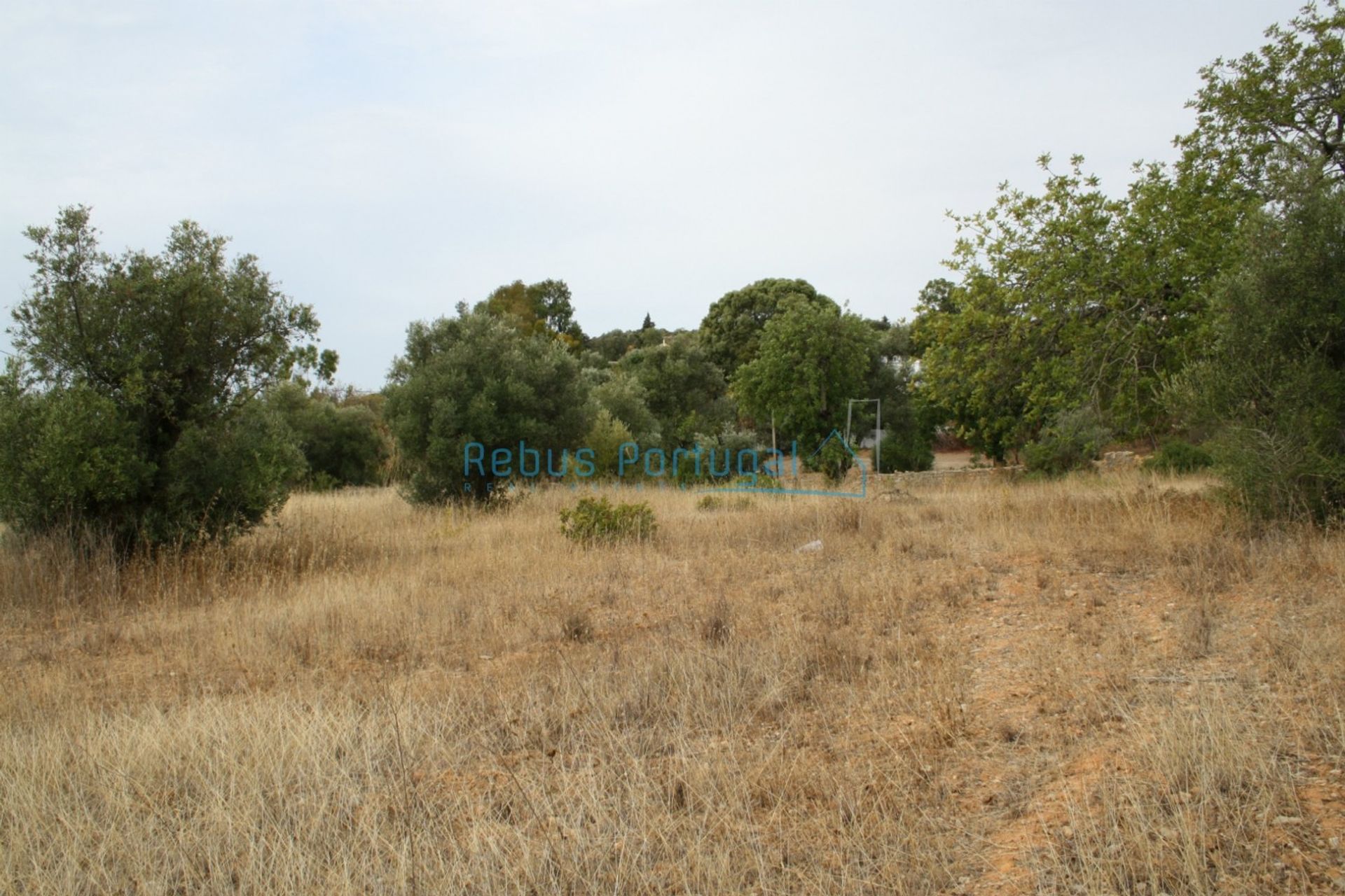 Land in Faro, Faro District 10107934