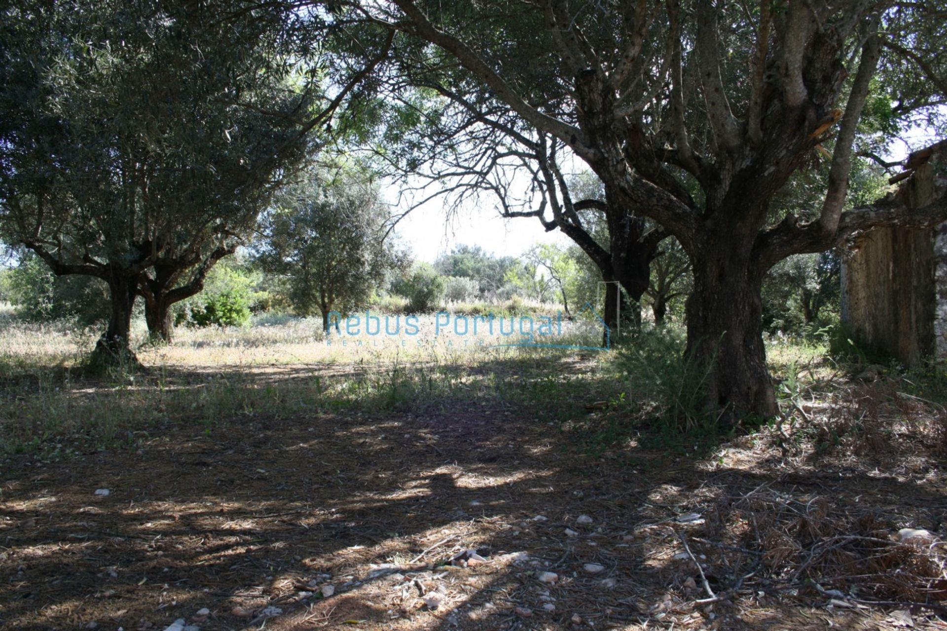 Land in Faro, Faro District 10107937