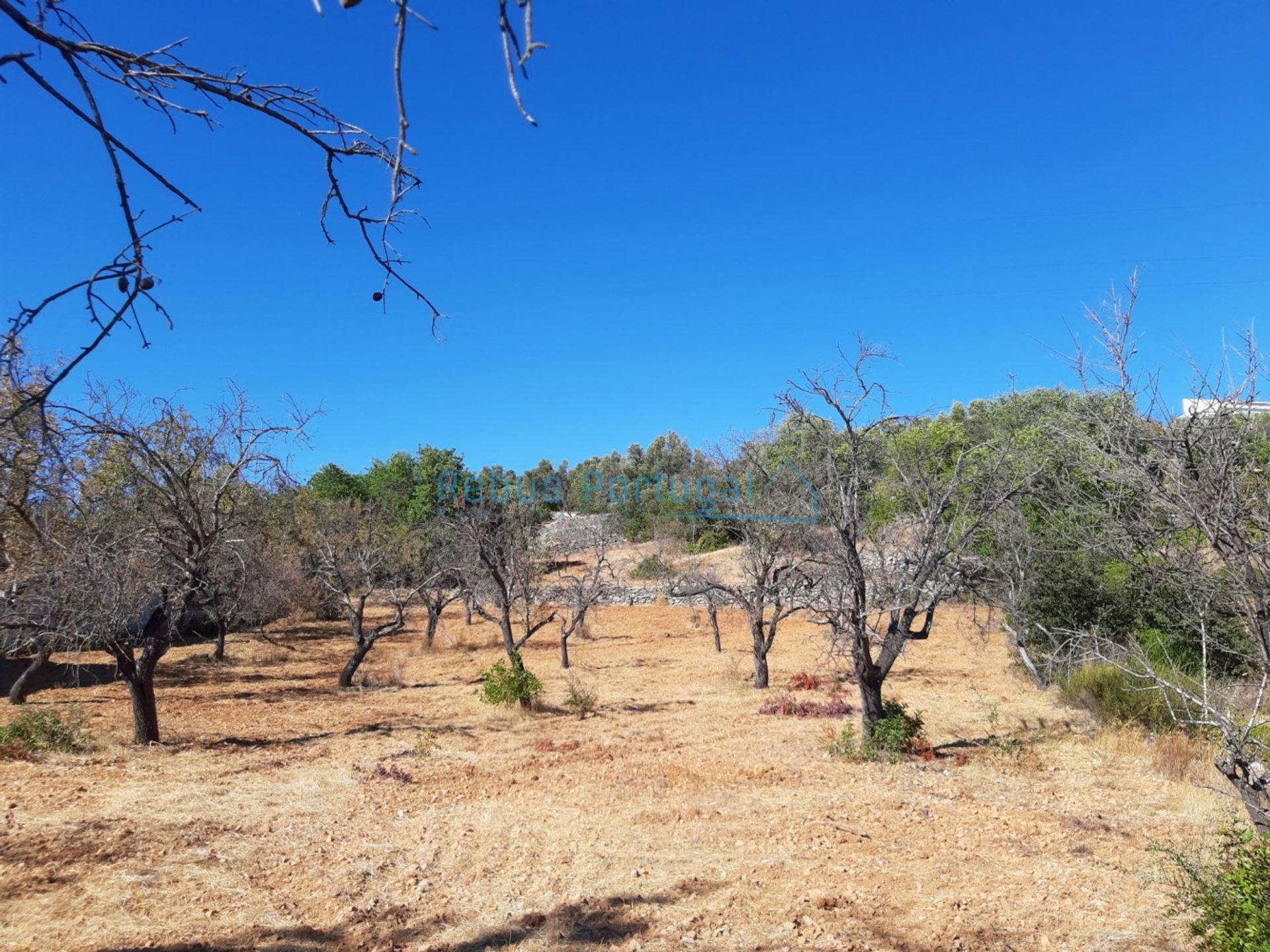 House in Faro, Faro District 10107942